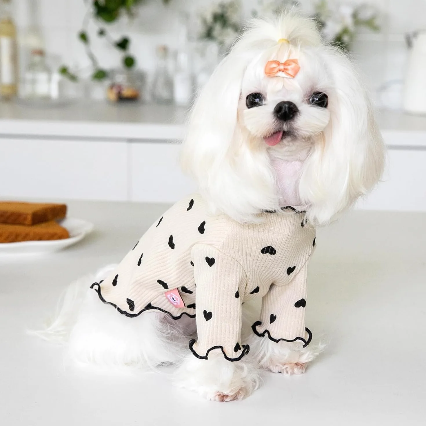 Chemise Extensible à Volants pour Petits Chiens Chats Été Automne Chihuahua Schnauzer Shih Tzu Yorkshire Taille S Café
