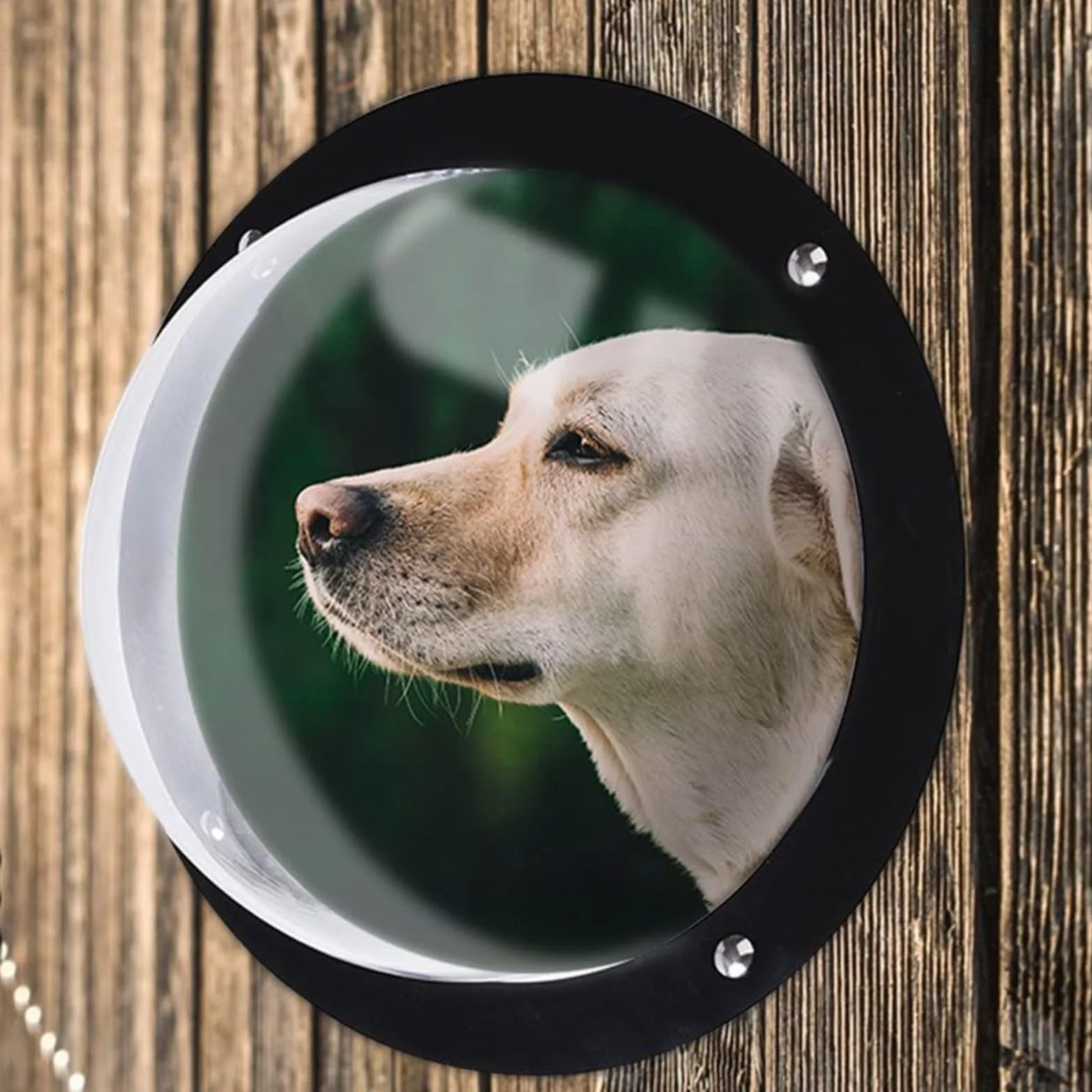 Hublot pour chien acrylique fenêtre dôme clôture jardin vue dégagée aboiement réduit