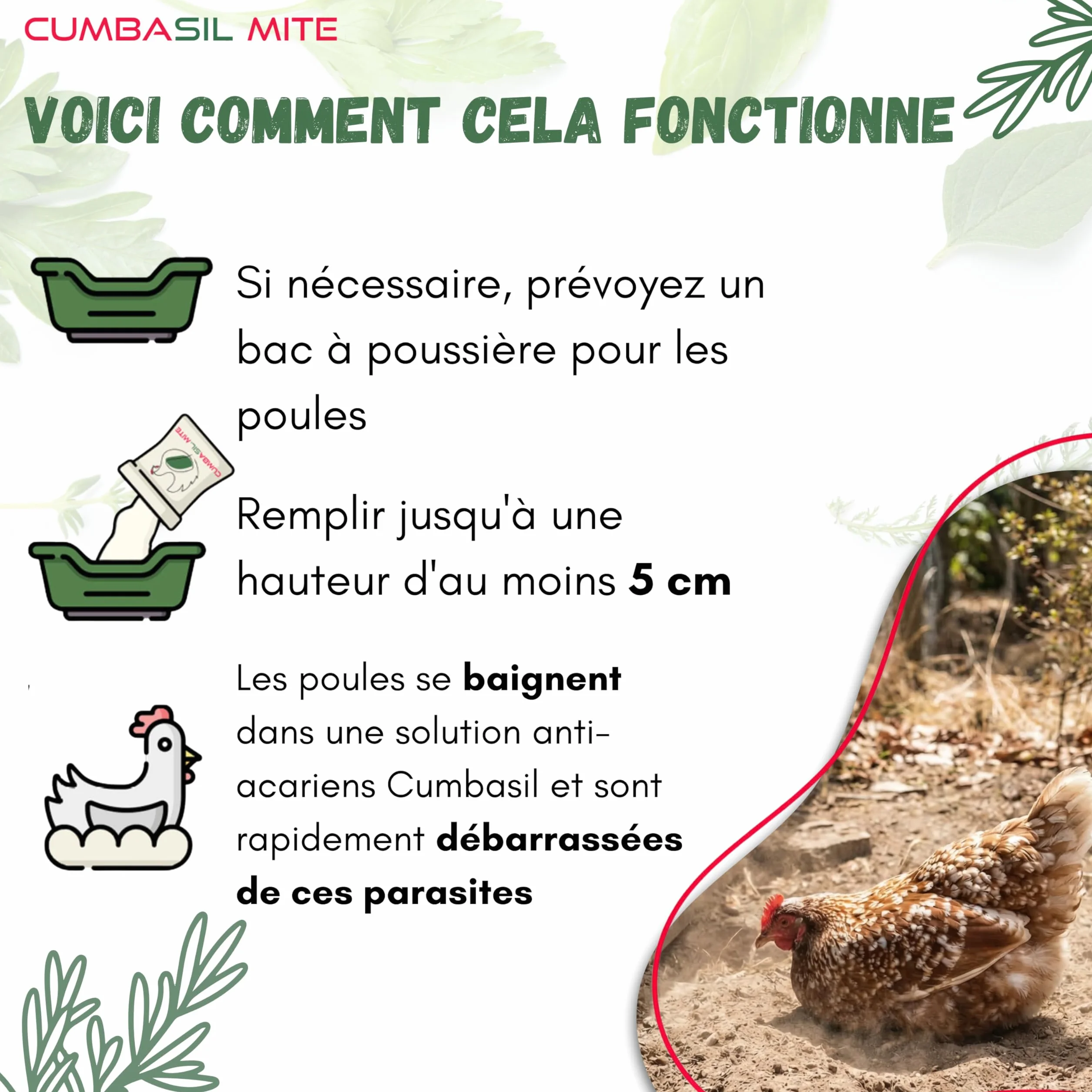 Lot de 3 bains de poussière pour poules 25 kg anti-acariens poudre naturelle