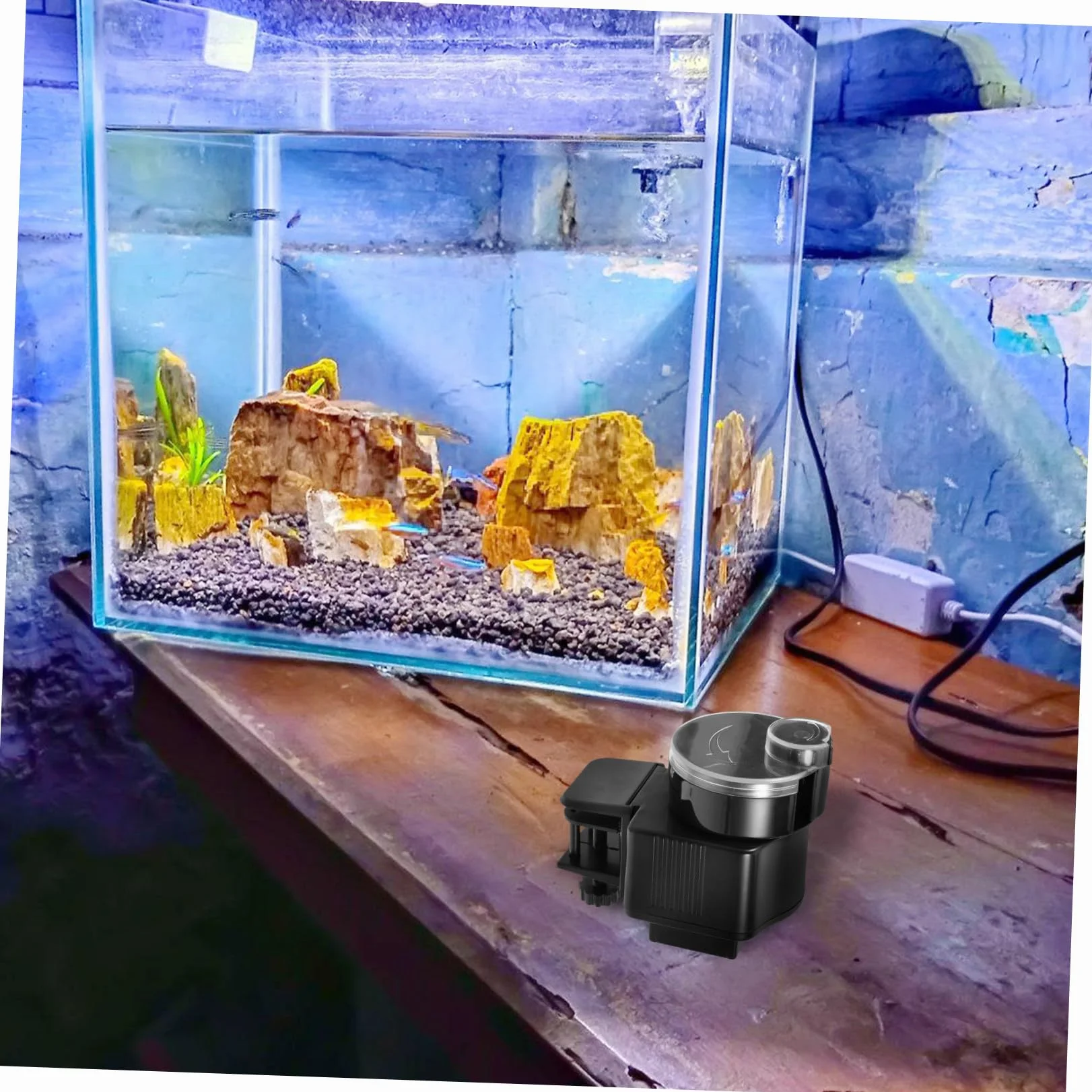 Distributeur Automatique pour Poissons Aquarium sans Piles VICASKY