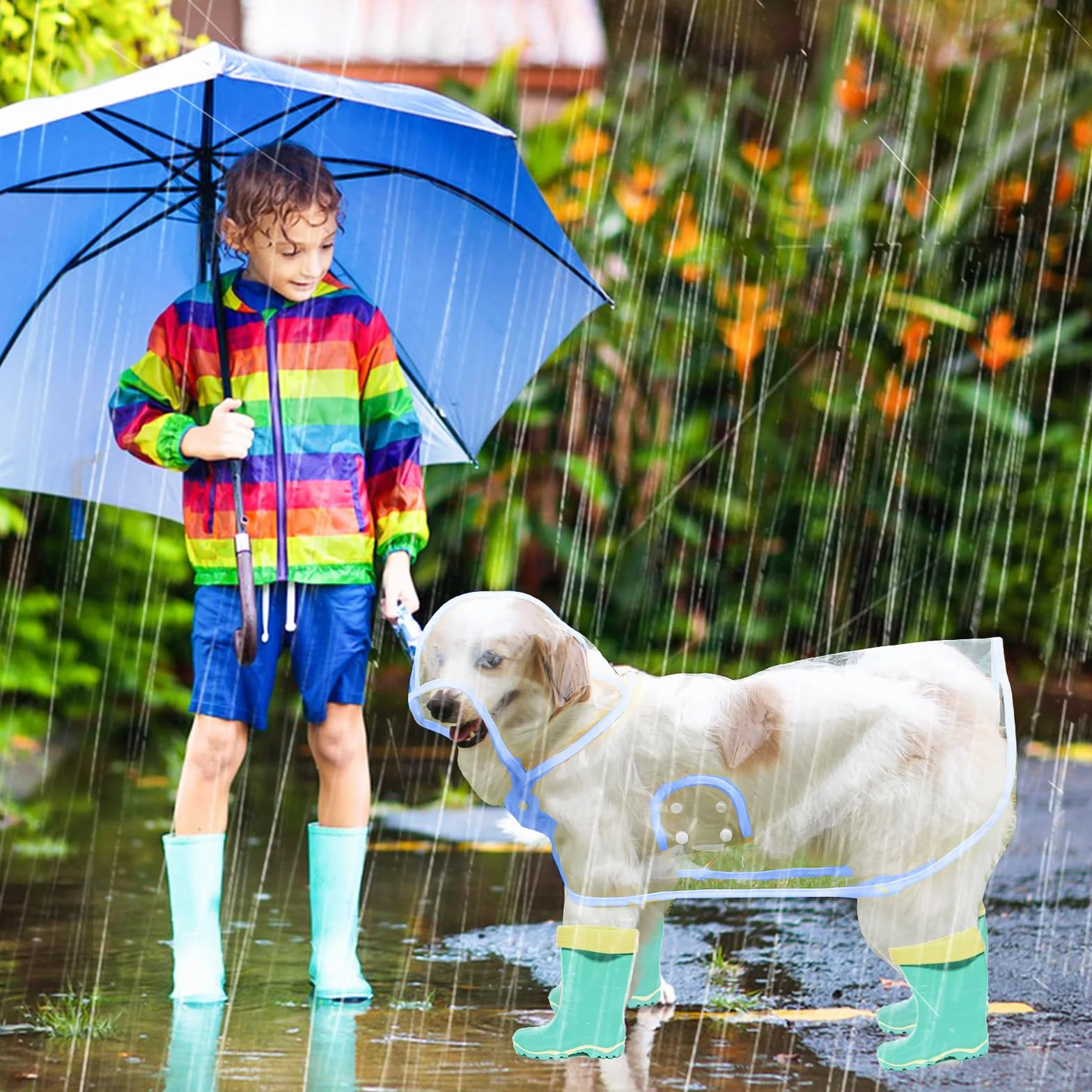PETCUTE Manteau de Pluie Imperméable pour Chien avec Capuche Transparent PVC