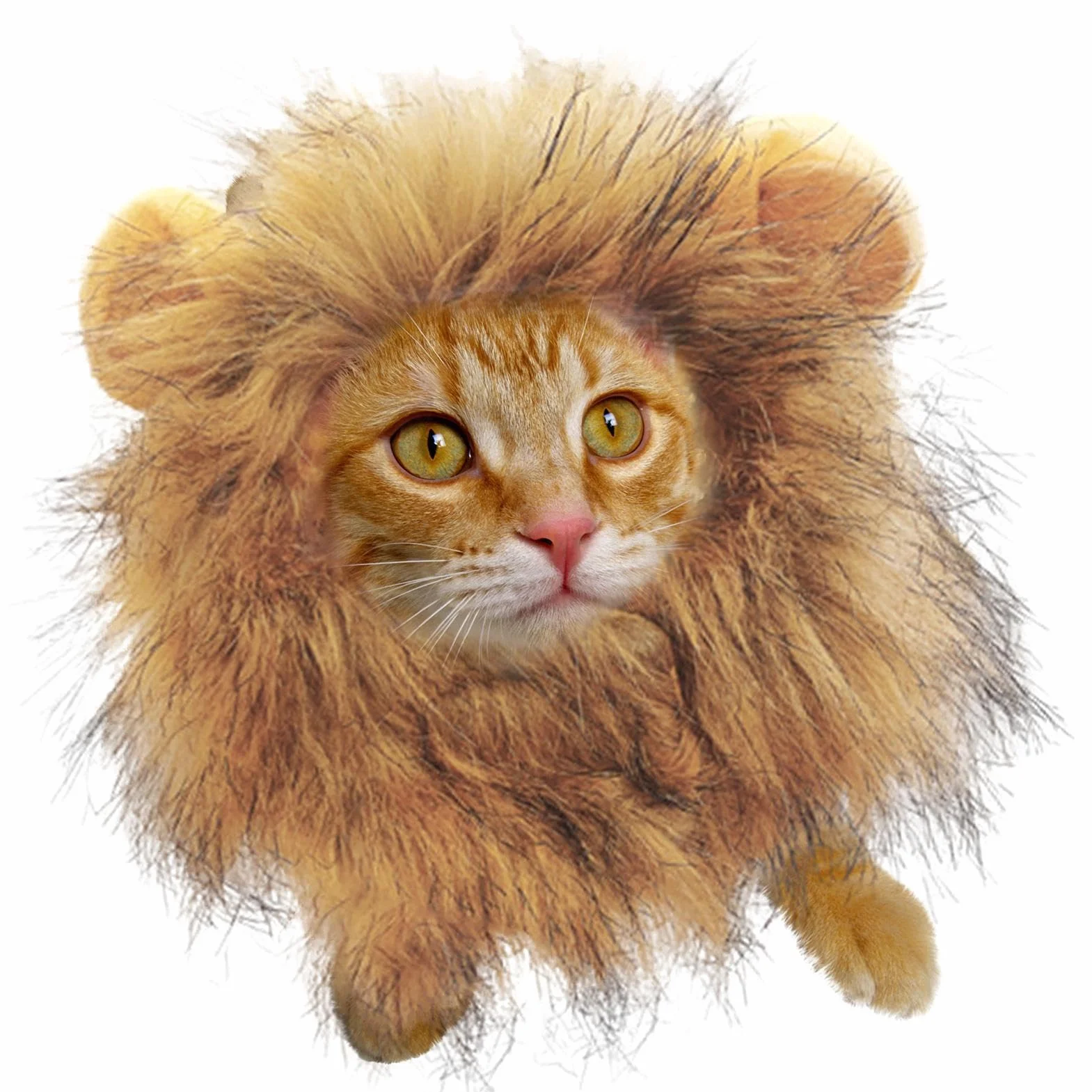 Déguisement crinière Lion Chat Halloween Chapeau réaliste Oreilles réglables Accessoire Cosplay Chaton