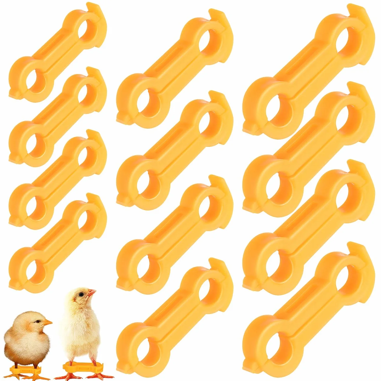 Angoily Lot de 12 Correcteurs De Jambe pour Poussins Stabilisateur Orthopédique pour Pattes Évasées