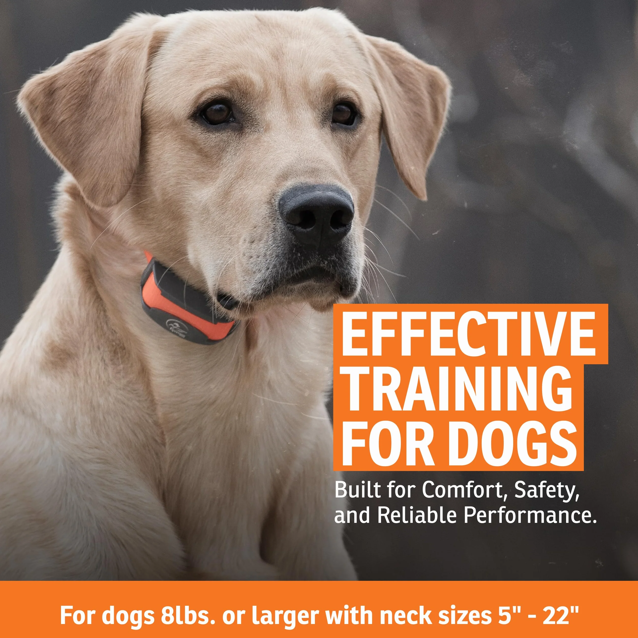 SportDOG - Collier de Dressage pour Chien avec Télécommande SportTrainer, Submersible, 10 Niveaux de Stimulation Statique, Vibration et Signal Sonore - Rechargeable - Portée 800 m