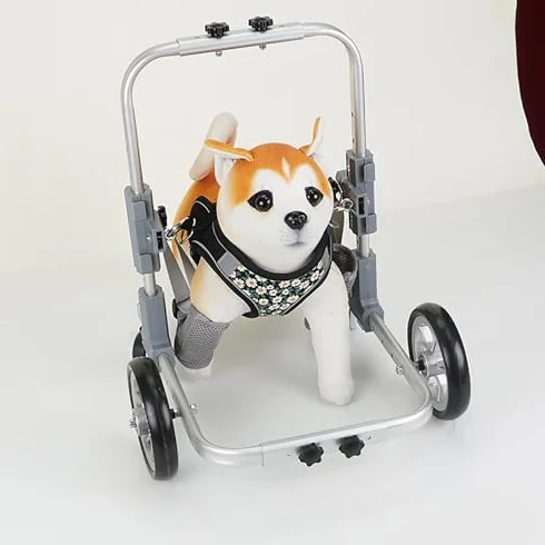 Fauteuil roulant réglable pour chien handicapé – Chariot de mobilité léger