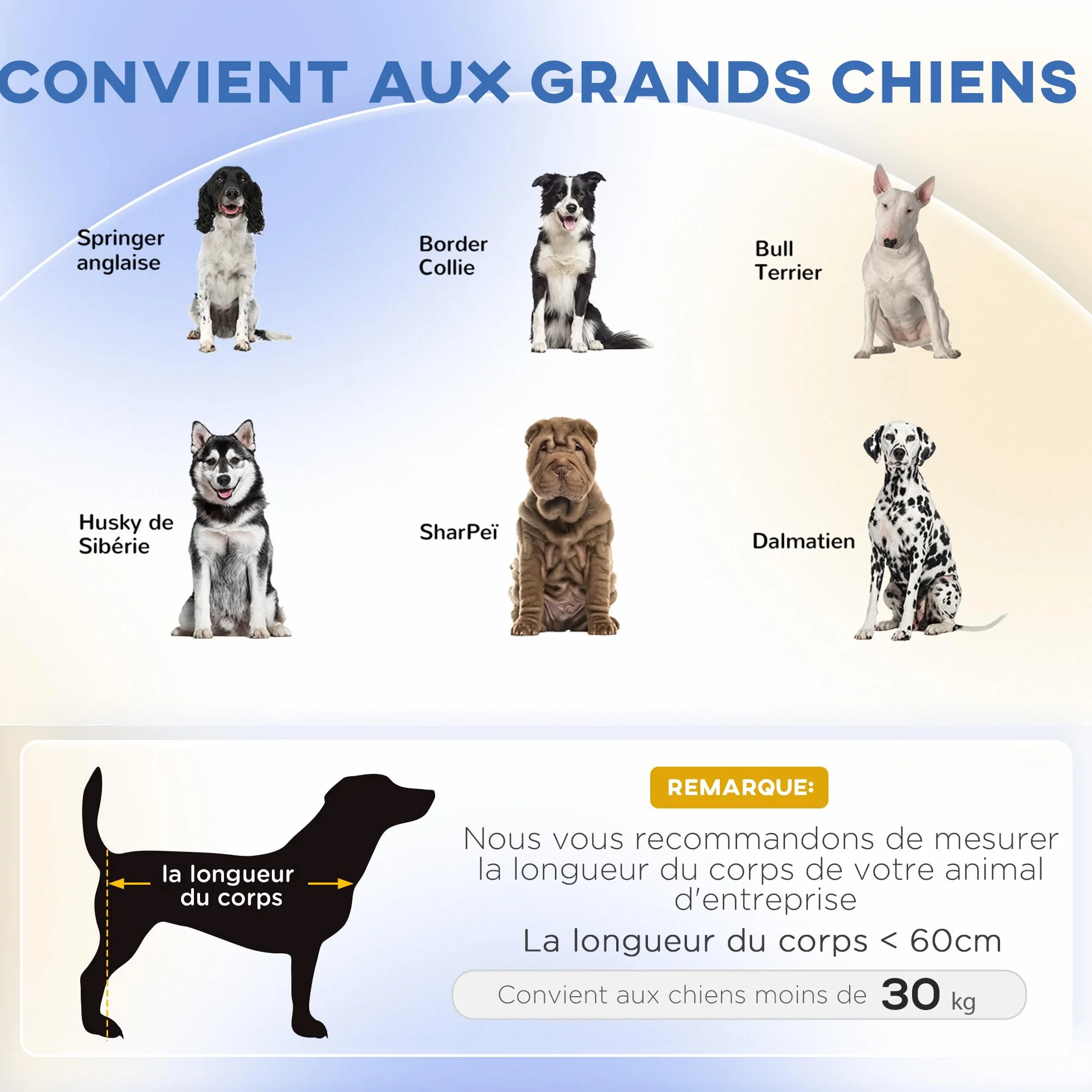 PawHut Canapé Chien Lit pour Chien avec Coussin Déhoussable Housse Lavable Design Scandinave Tissu Polyester Pieds Bois 98 x 67 x 25 cm Bleu