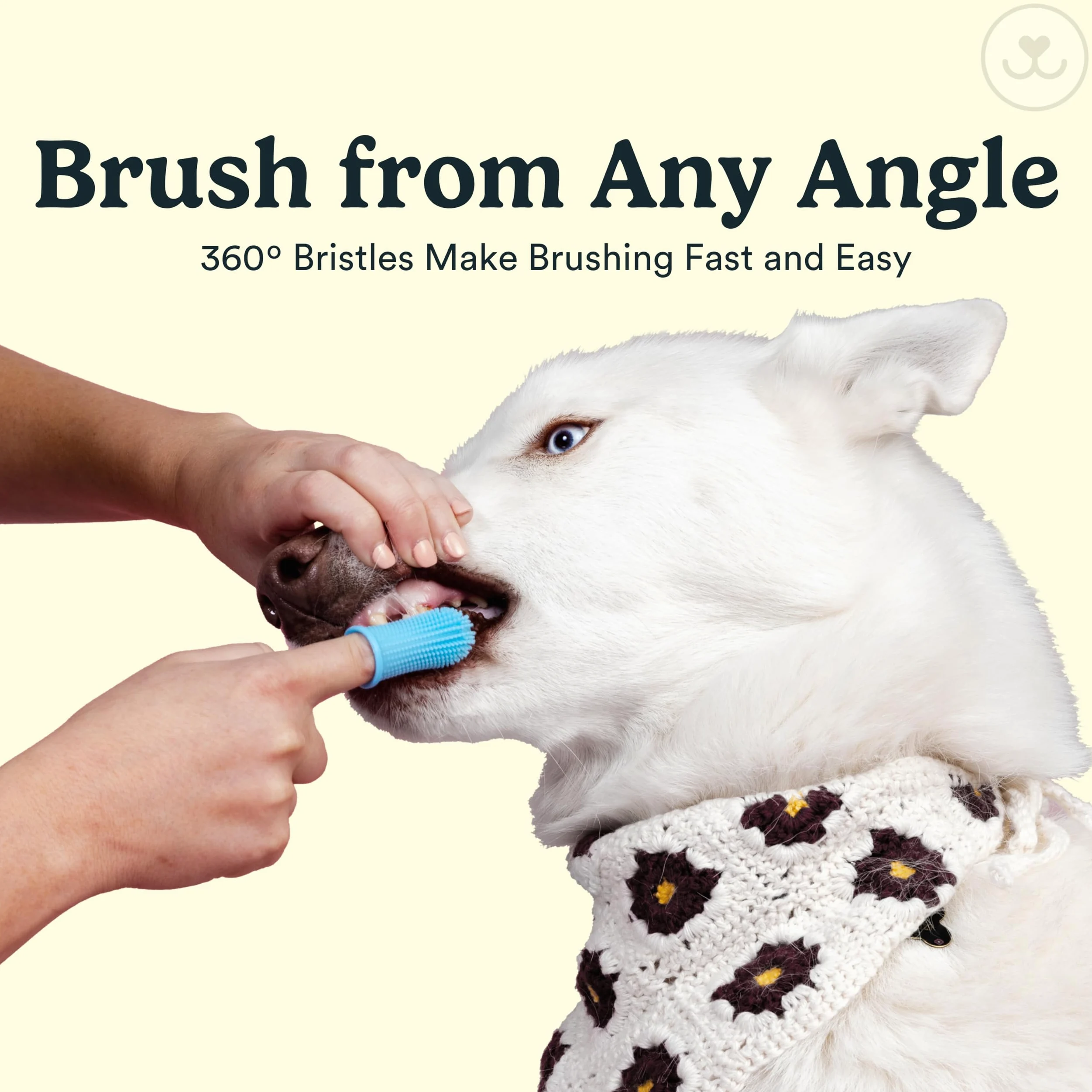 Jasper Lot de 10 brosses à dents pour chien, brosse à dents pour animaux domestiques, brosse à dents pour chat, kit de soins dentaires et de nettoyage des dents, brosse à dents pour animaux