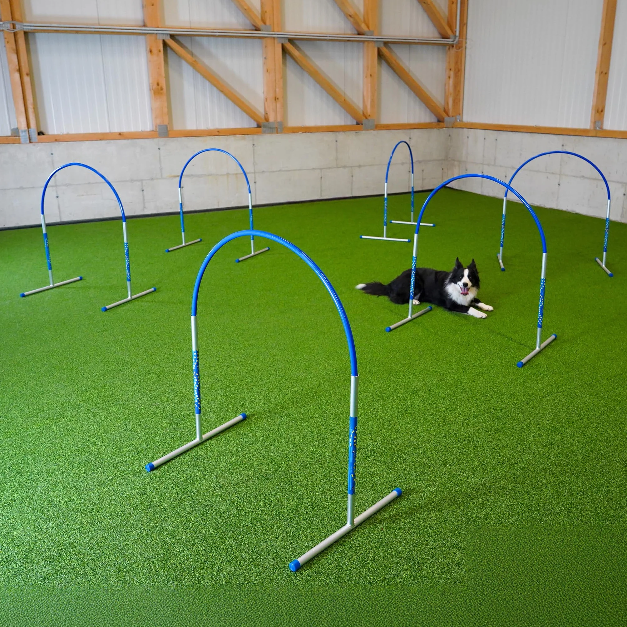Callieway Hoopers Agility Hoops Lot de 6 cerceaux en aluminium Bleu