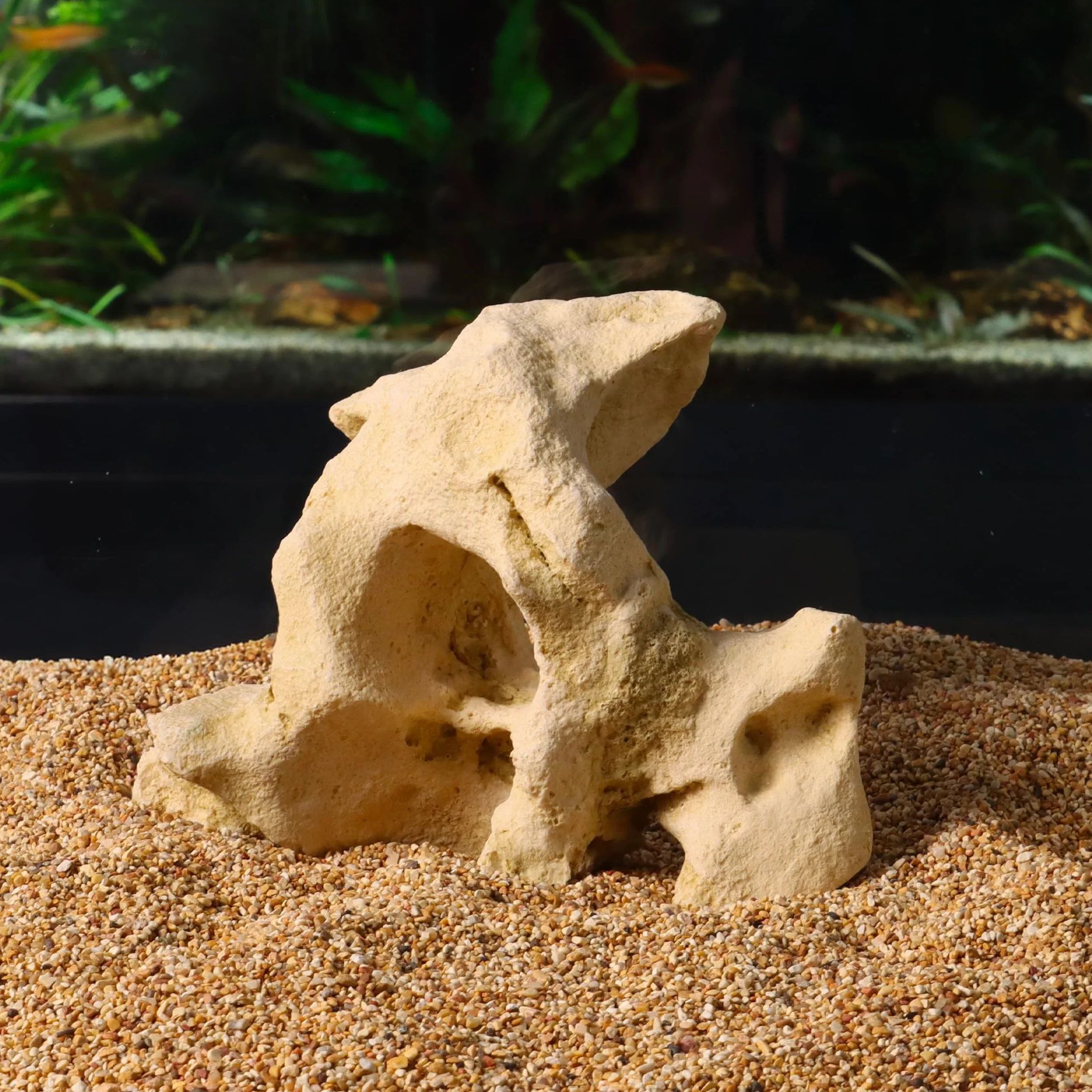 Roche Gallura Décoration Aquariophilie Beige Taille S