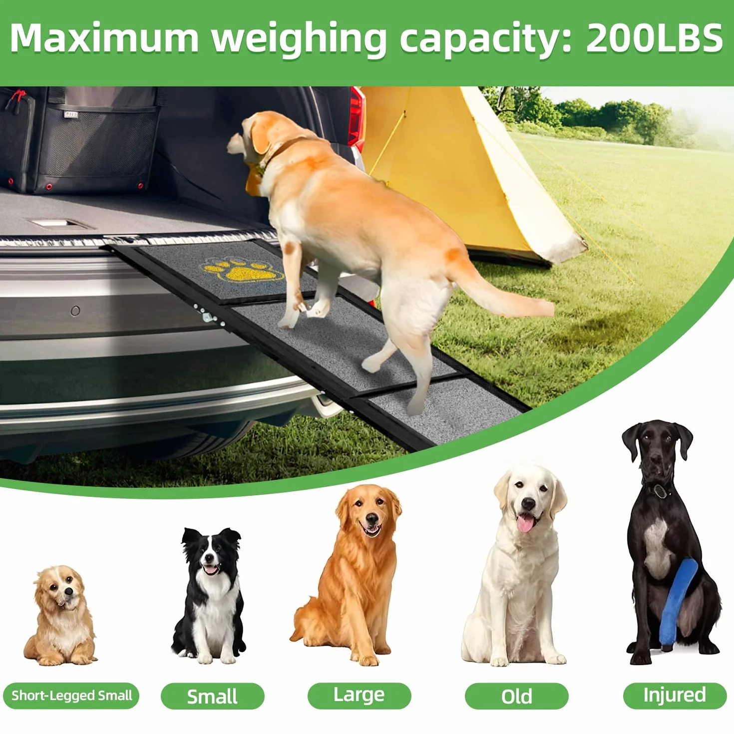 Rampe pour chien pliable extra longue 180 cm avec surface de tapis antidérapante pour petits, moyens et grands chiens - Rampe portable pour voiture, SUV, camion, canapé et lit