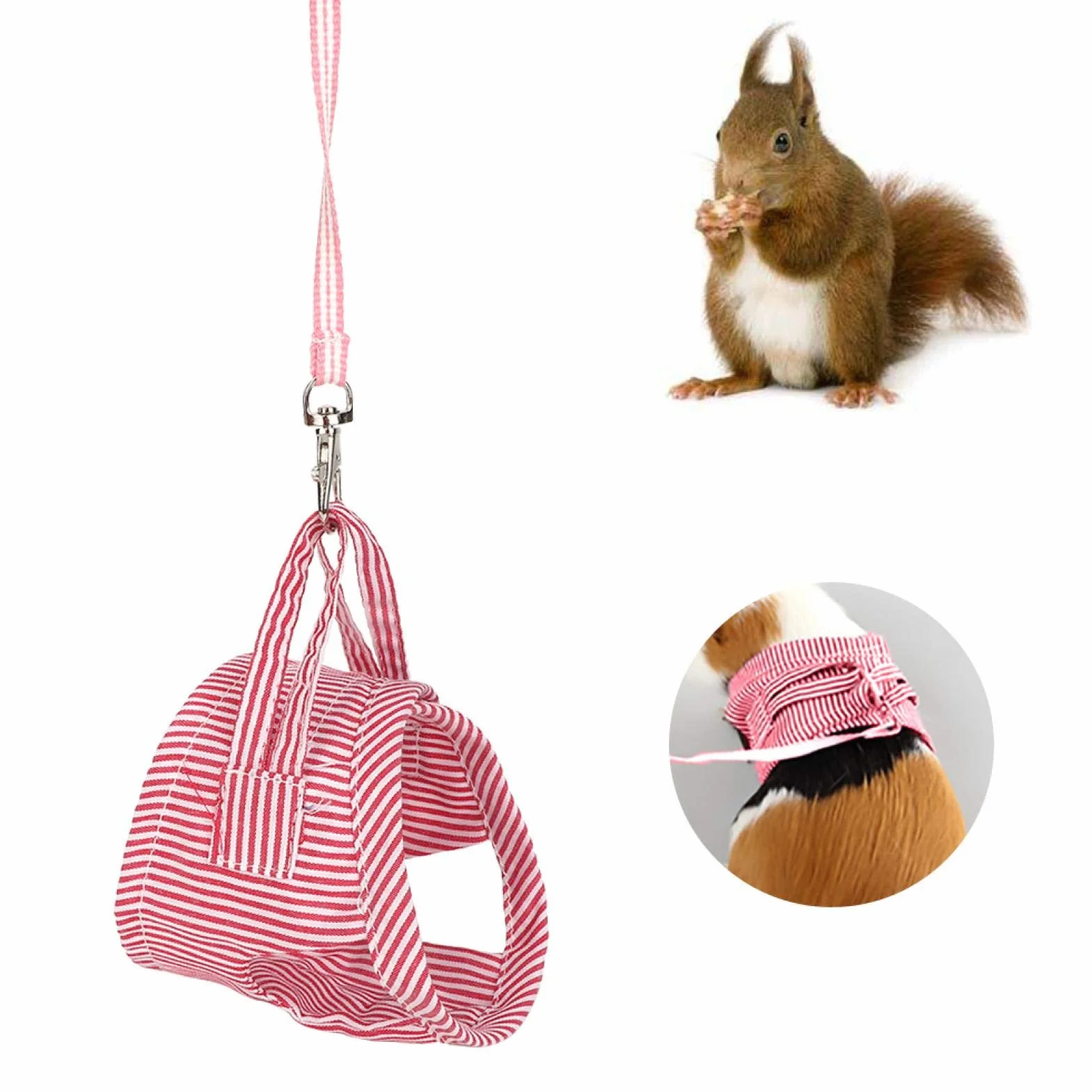 Harnais et Laisse pour Cochon d'Inde, Petits Animaux, Rouge, Taille S