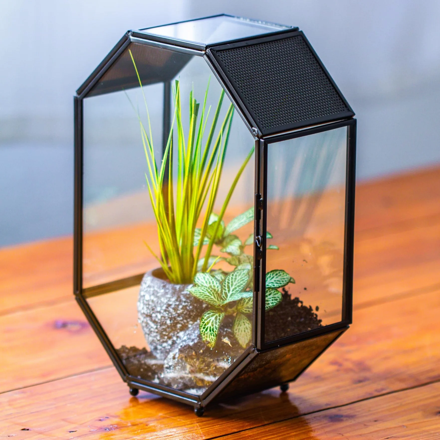 Terrarium en Verre Octogonale 15,8x8x22,1 cm avec Maille et Porte pour Araignées Insectes Petites Plantes