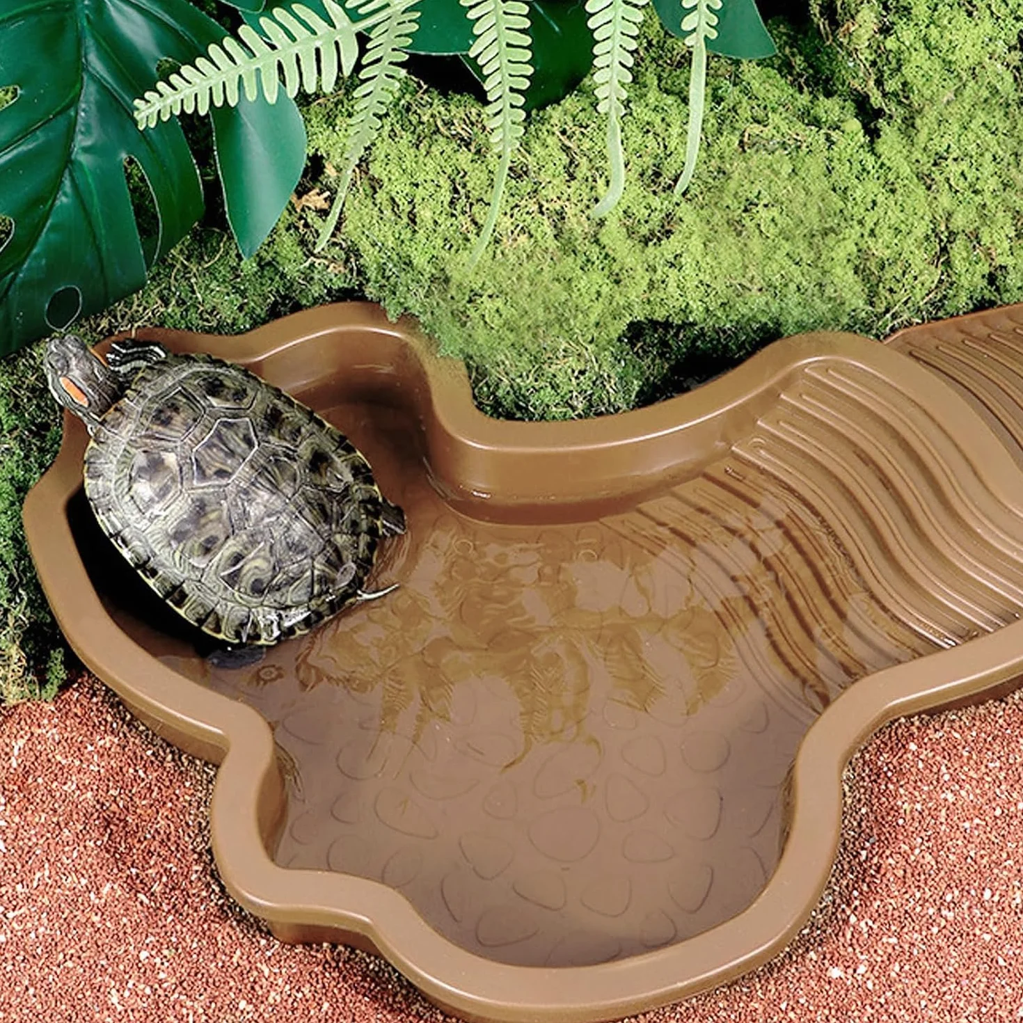 MEISO Abreuvoir Tortue Terrestre avec Rampe et Échelle, Bol d'eau pour Reptiles, Mangeoire pour Tortues, Lézards et Gecko (Brown)