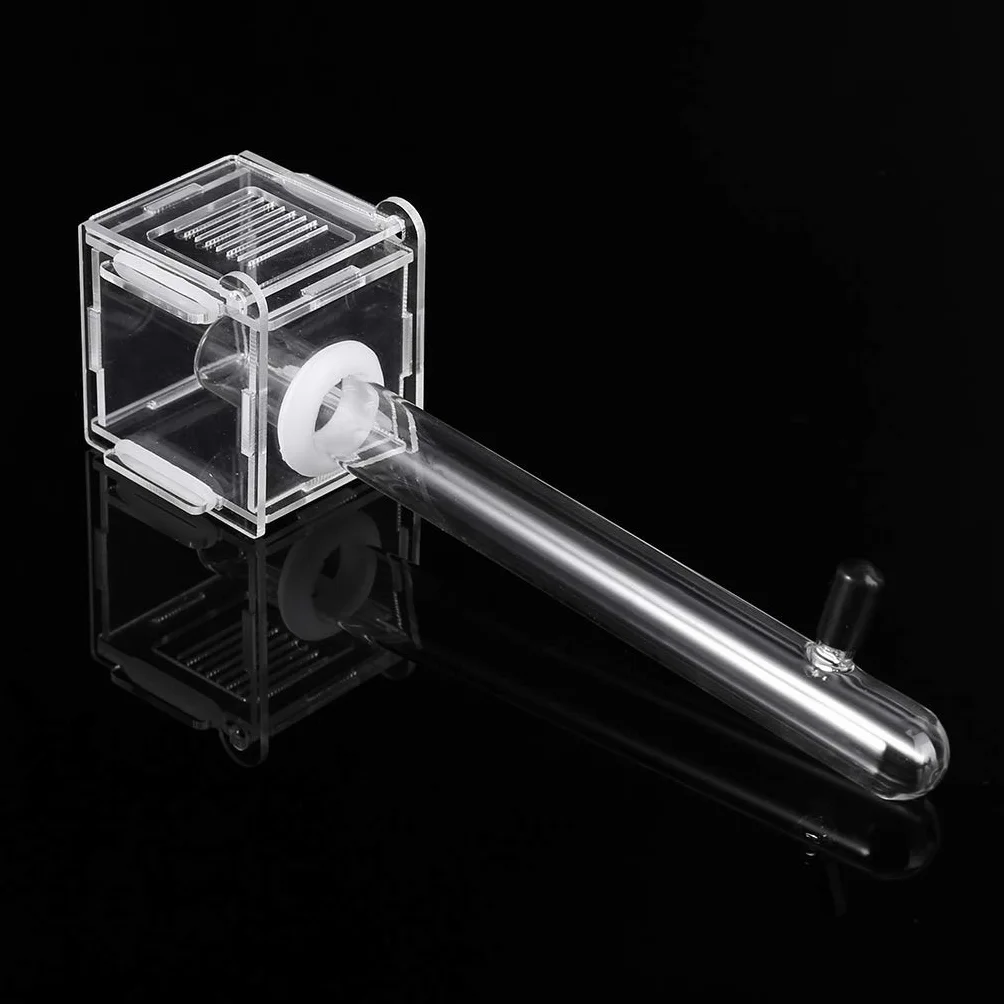 Nid de Fourmis en Tube de Verre Mini Ferme de Fourmis Acrylique