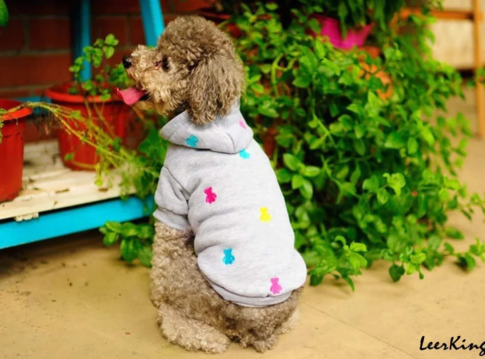LeerKing Sweats à Capuche Chaud pour Chien en Coton Gris XXS