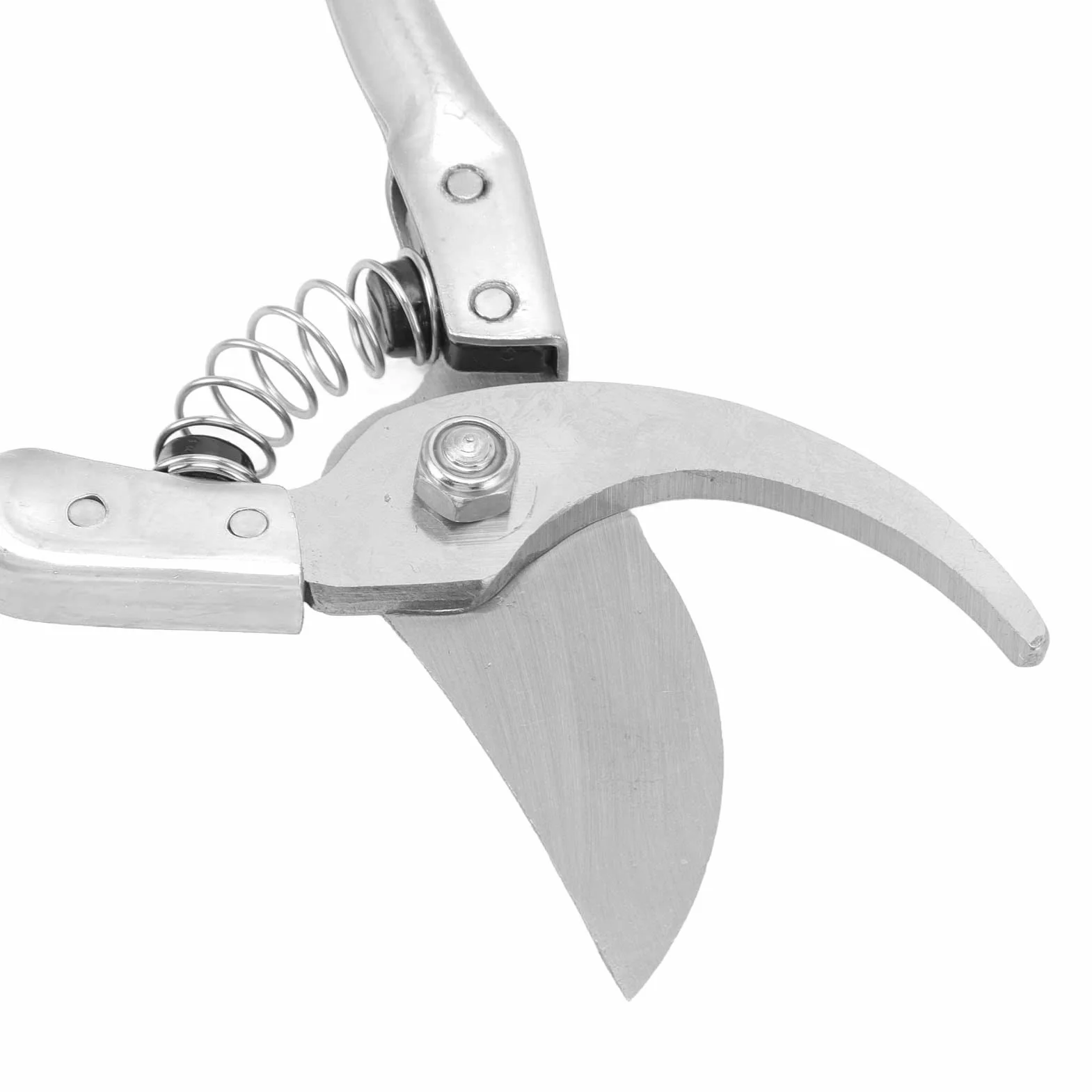 Cisailles ongles pour Moutons, Pince de Cisaillement Pig Trotter avec Ressort Forte Outil Réparation Ongles Animaux Argent