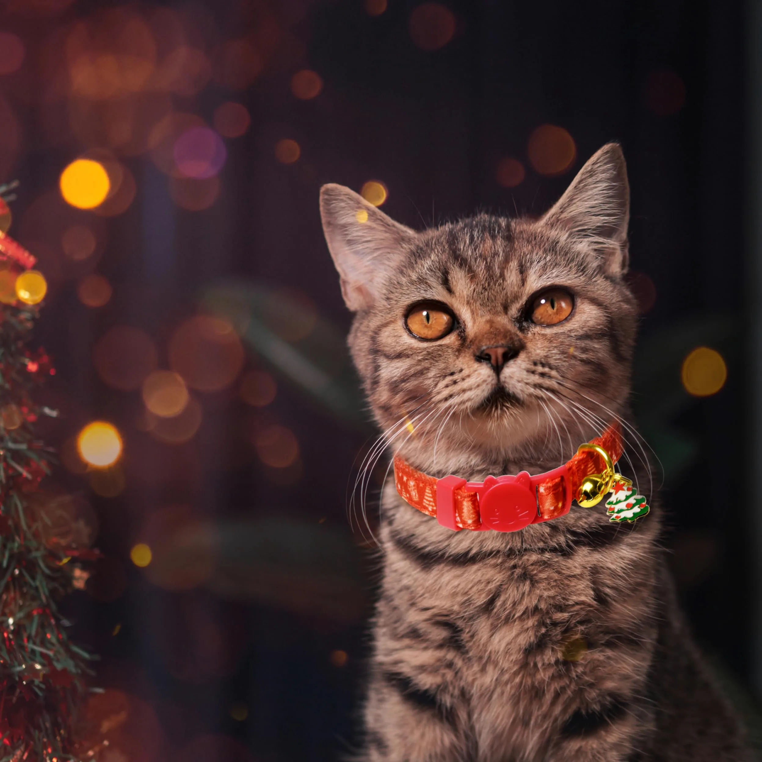 Lot de 2 colliers de Noël pour chat avec clochettes et breloques festives, boucle de sécurité, collier réglable pour chaton et chat adulte