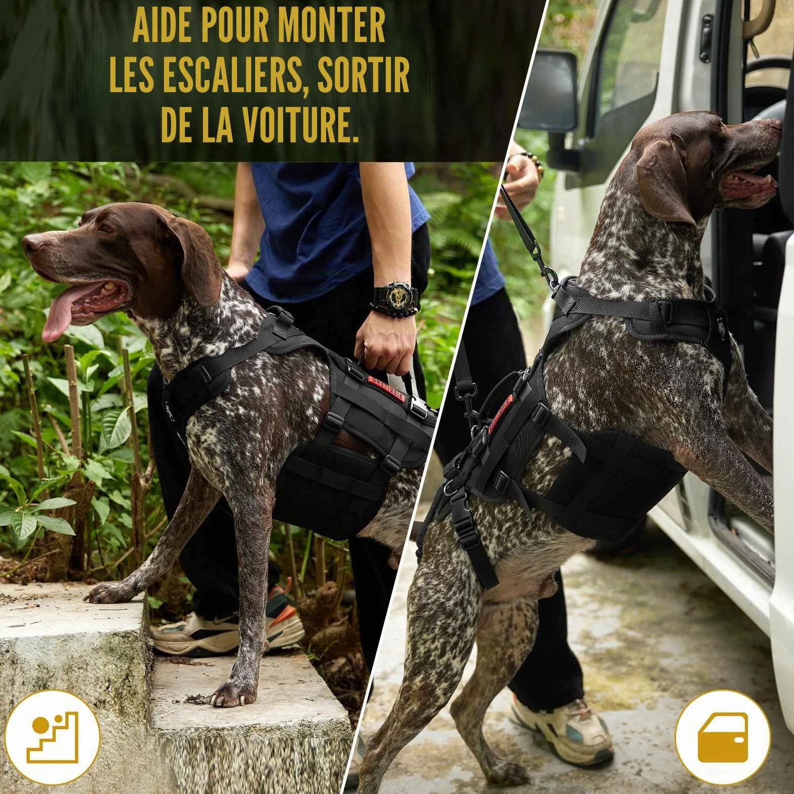OneTigris Invictus Harnais de Levage pour Chien handicapé, Sangle réglable, 3 poignées, Leggings arrière Amovibles - Noir S