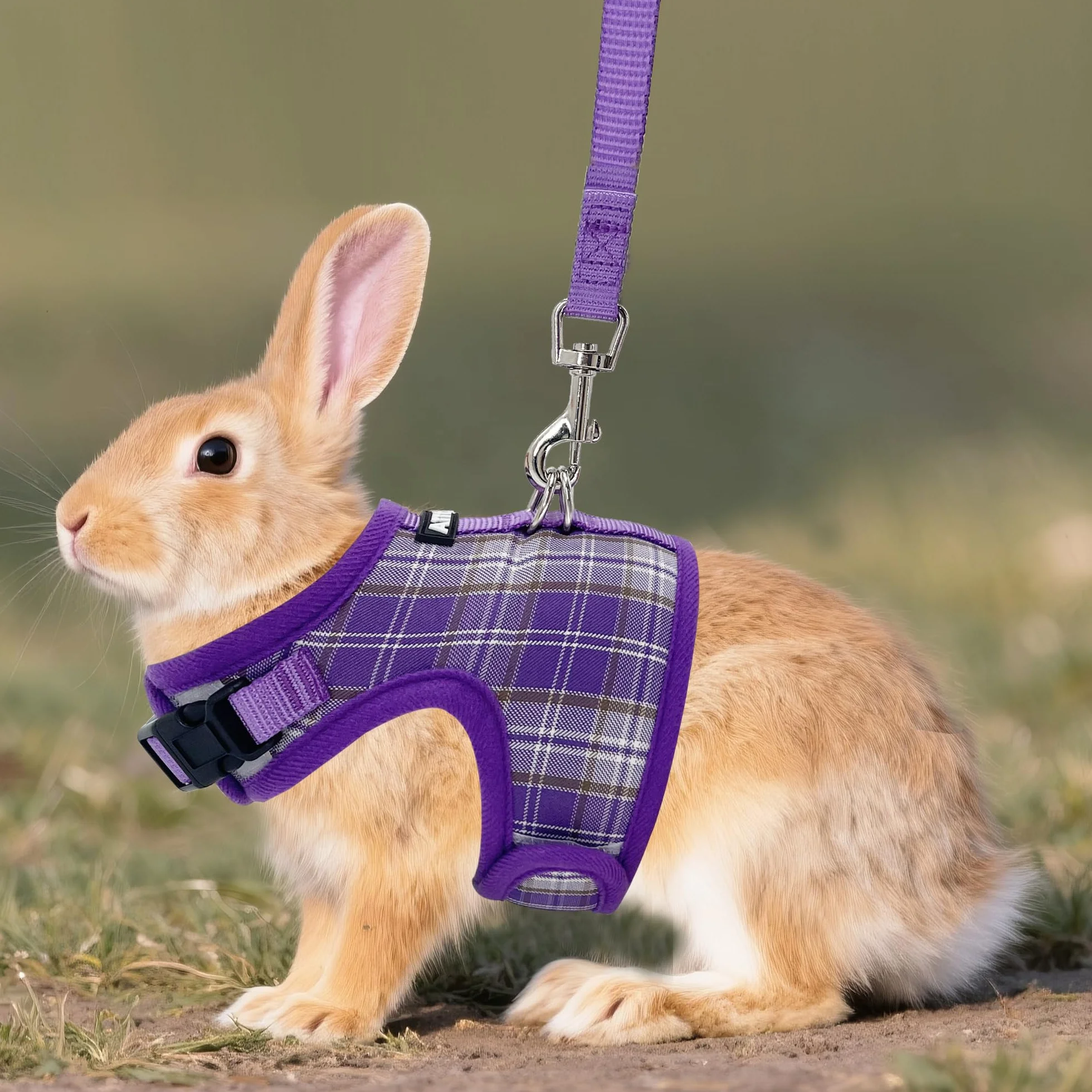 AIITLE Ensemble de harnais et laisse pour lapin anti-évasion - Design à ruban magique, rembourrage en maille à motif à carreaux léger, sans étouffement ni traction pour chiot, chat, rat, écureuil