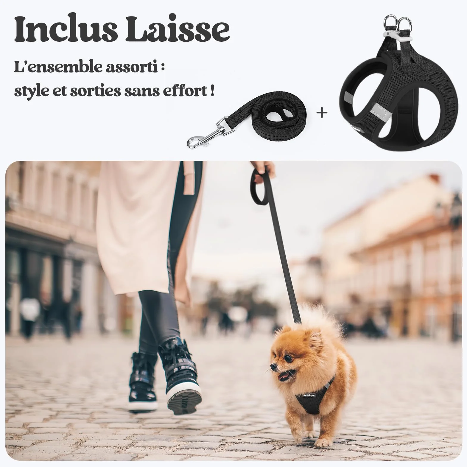 Rabbitgoo Harnais Chien Petite Taille avec Laisse Réfléchissant, Maille Souple, Gilet Réglable Facile à Mettre, pour Petit et Moyen, Noir S