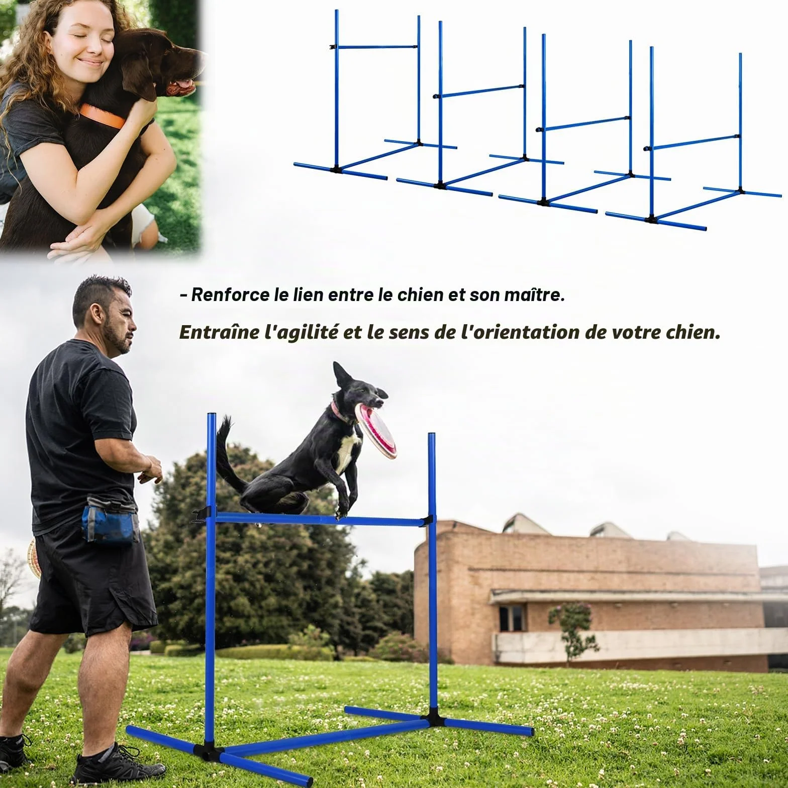 Ensemble d'obstacles d'agilité pour chien, set de 4 tiges de slalom, hauteur réglable, plastique, bleu