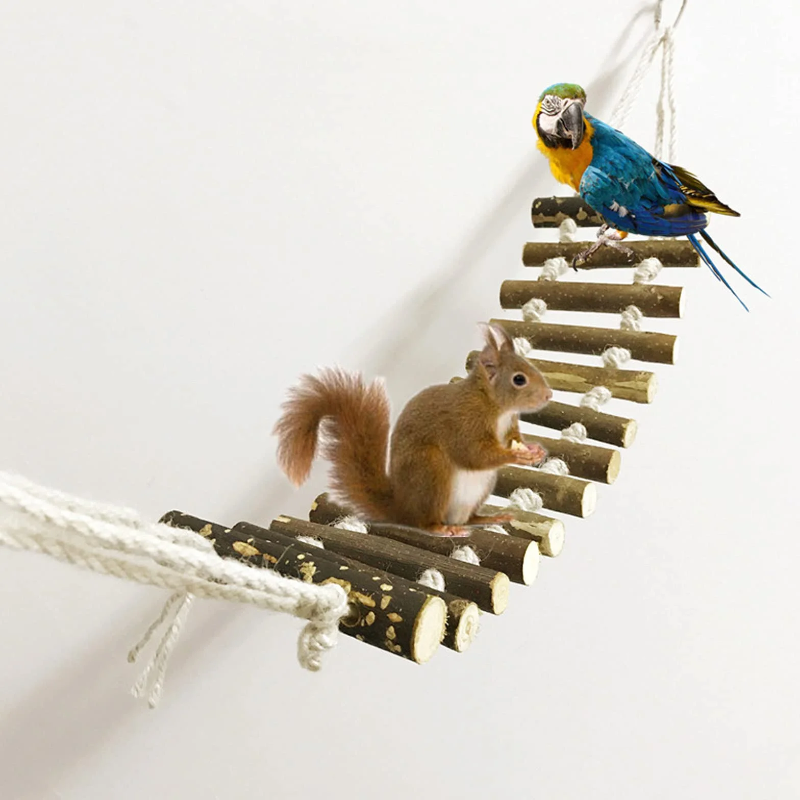 Echelle à Oiseaux Naturelle pour Perroquets Perruches Gris Africain