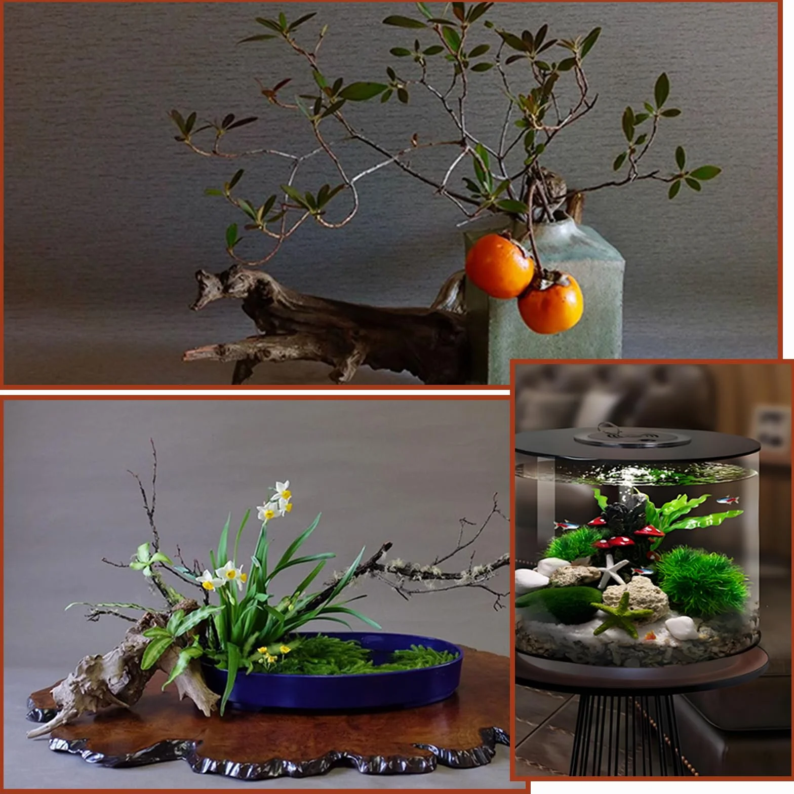 Racine Aquarium Bois Naturel Bois Flotté 8-15 CM Decoration Aquarium Décoration D'intérieur