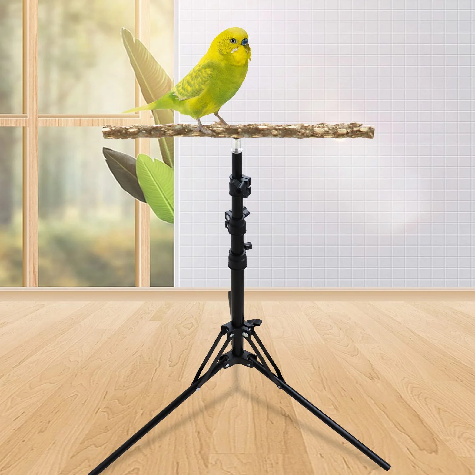 Perchoir en bois de poivre naturel hauteur réglable pour oiseaux petite et moyenne taille intérieur extérieur