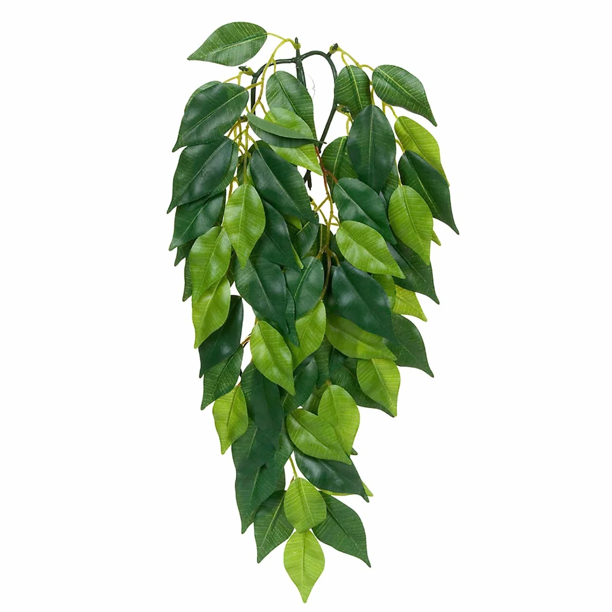 Exo Terra Ficus Medium Roślina do Terrarium PT3040