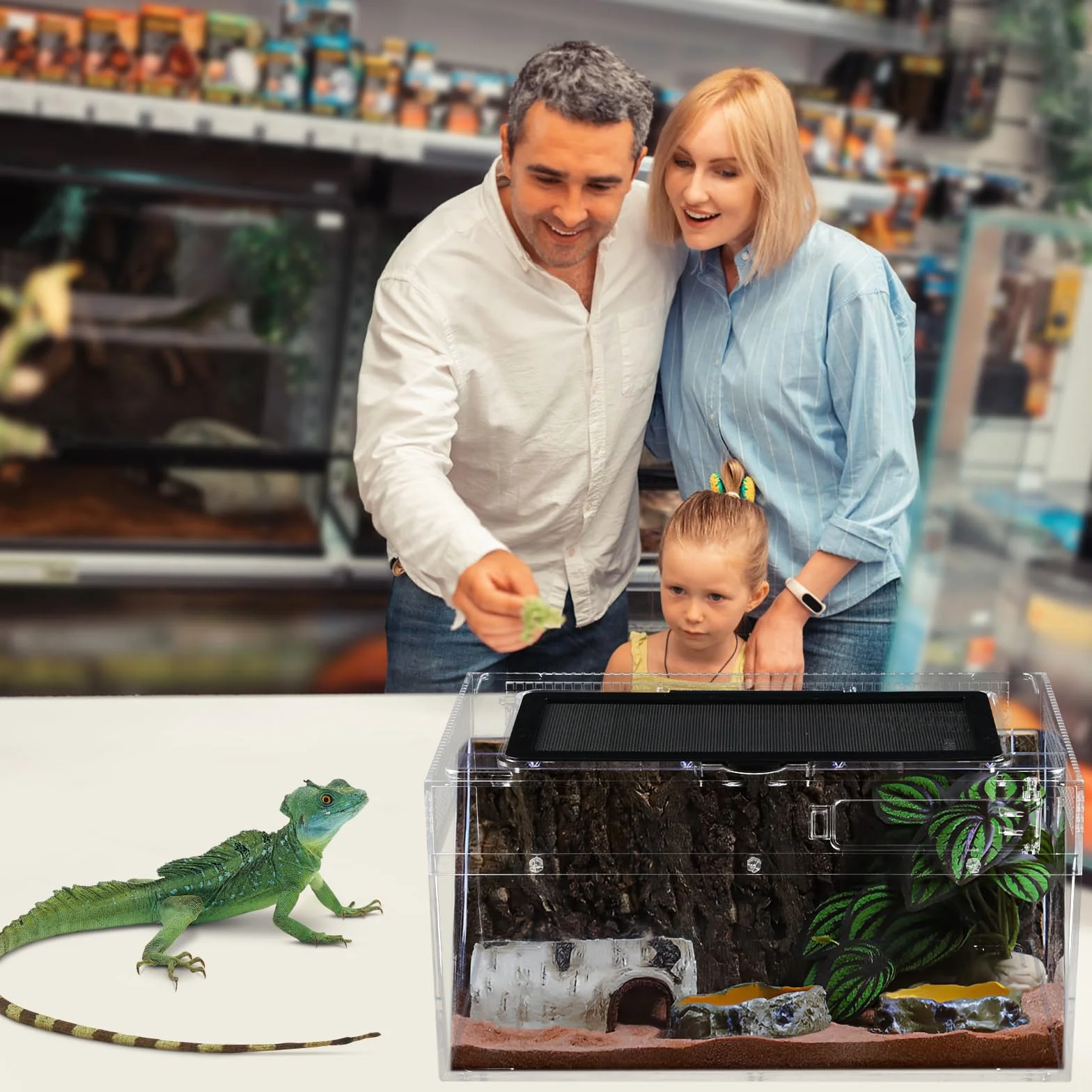 Terrarium pour Reptiles 30x18x15cm Boîte d'élevage Acrylique Portable Habitat