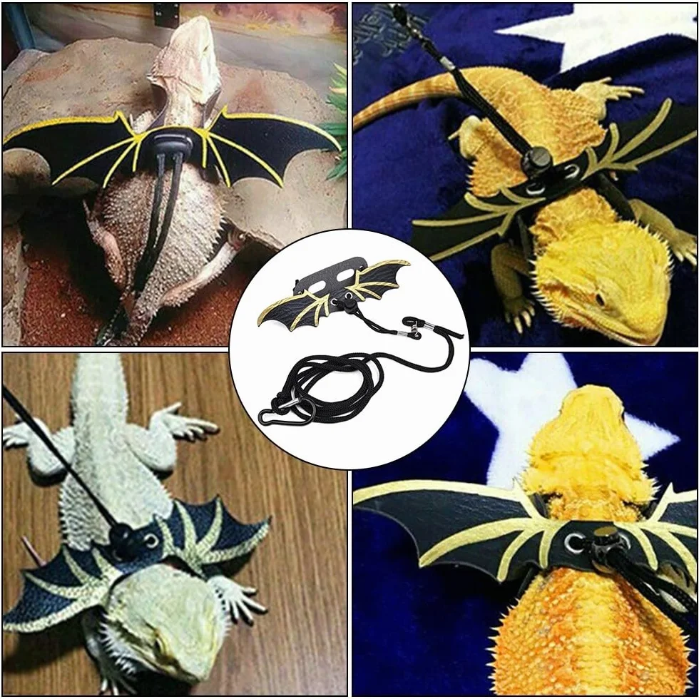 Harnais de Laisse pour Reptiles Lot de 3 Ailes Réglables pour Lézard Dragon Barbu Sécurité Plein Air
