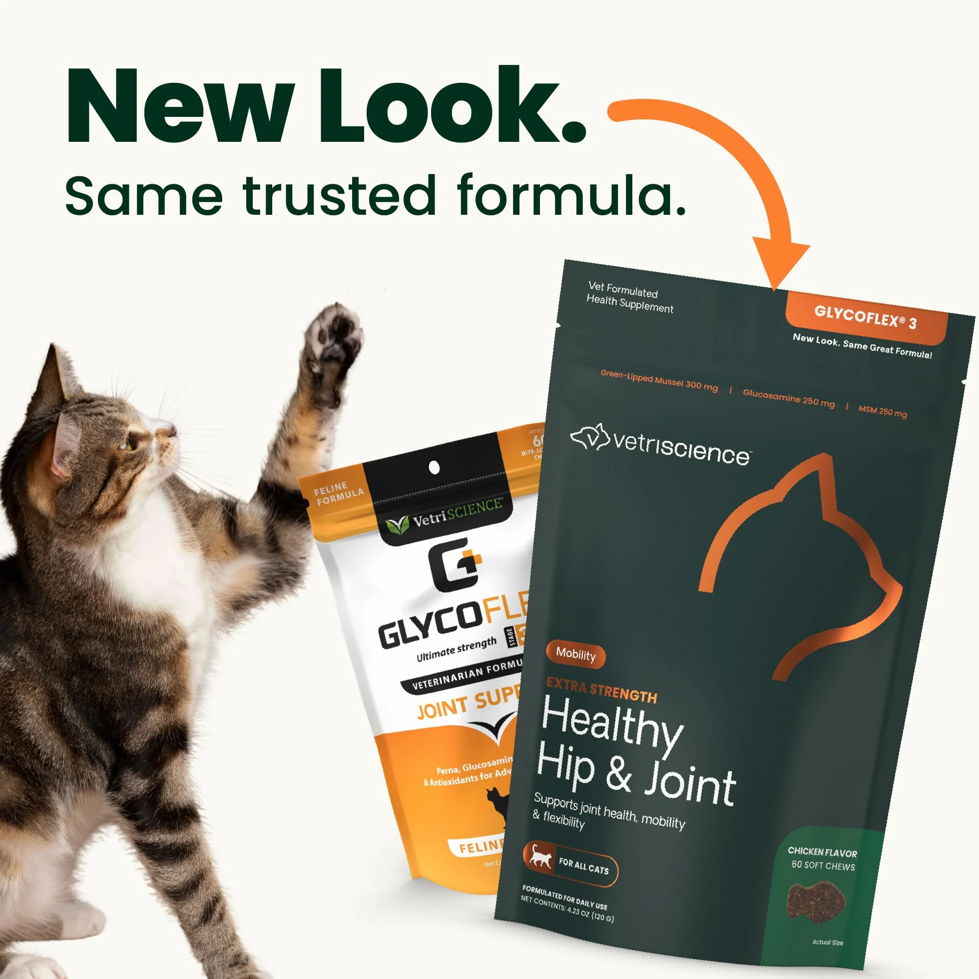Vetri-Science Laboratories Glyco Flex 3 Complément Alimentaire pour Chats Hanche et Articulation