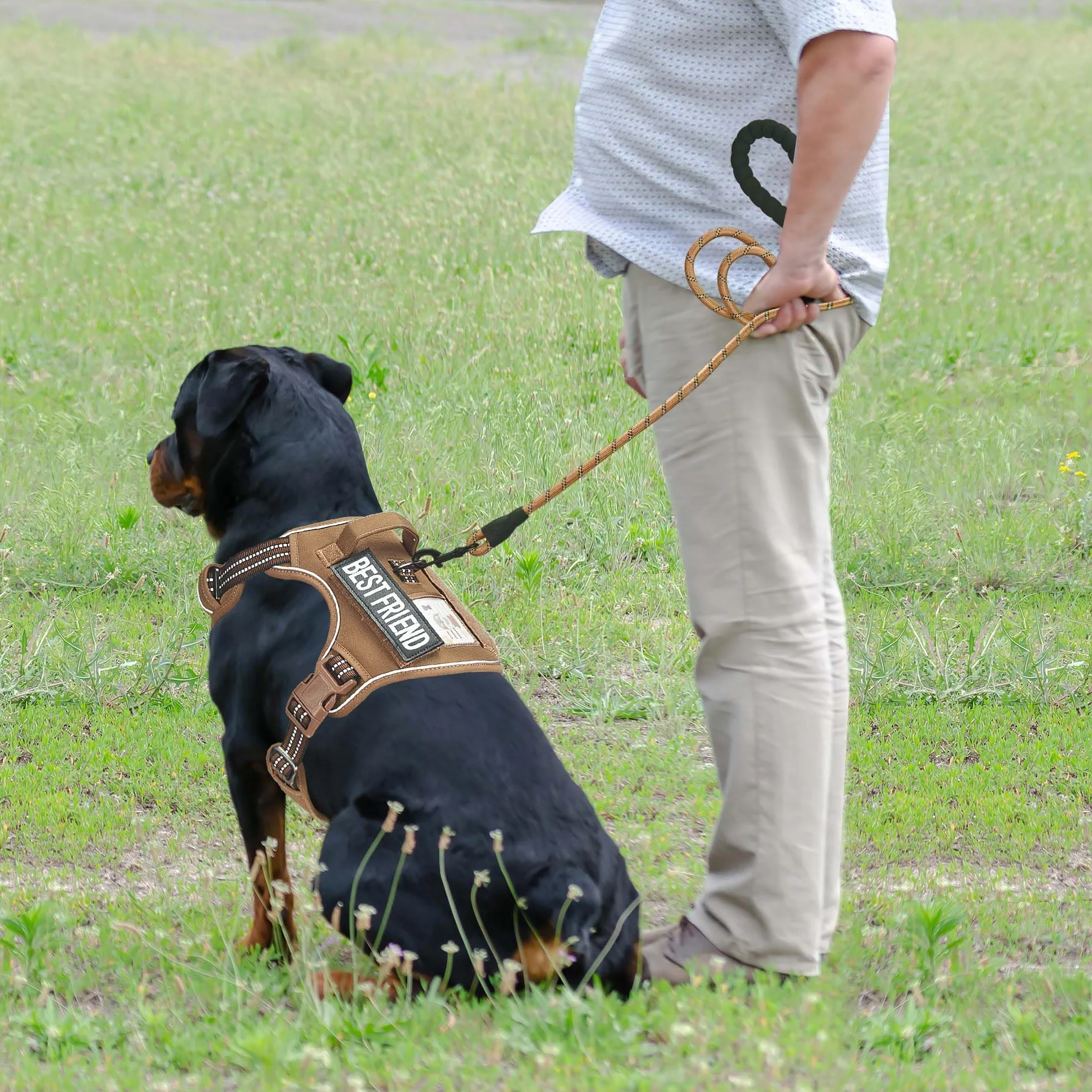 Haapaw Harnais tactique robuste pour chiens grande taille anti-traction réglable réfléchissant contrôle facile militaire travail XL marron