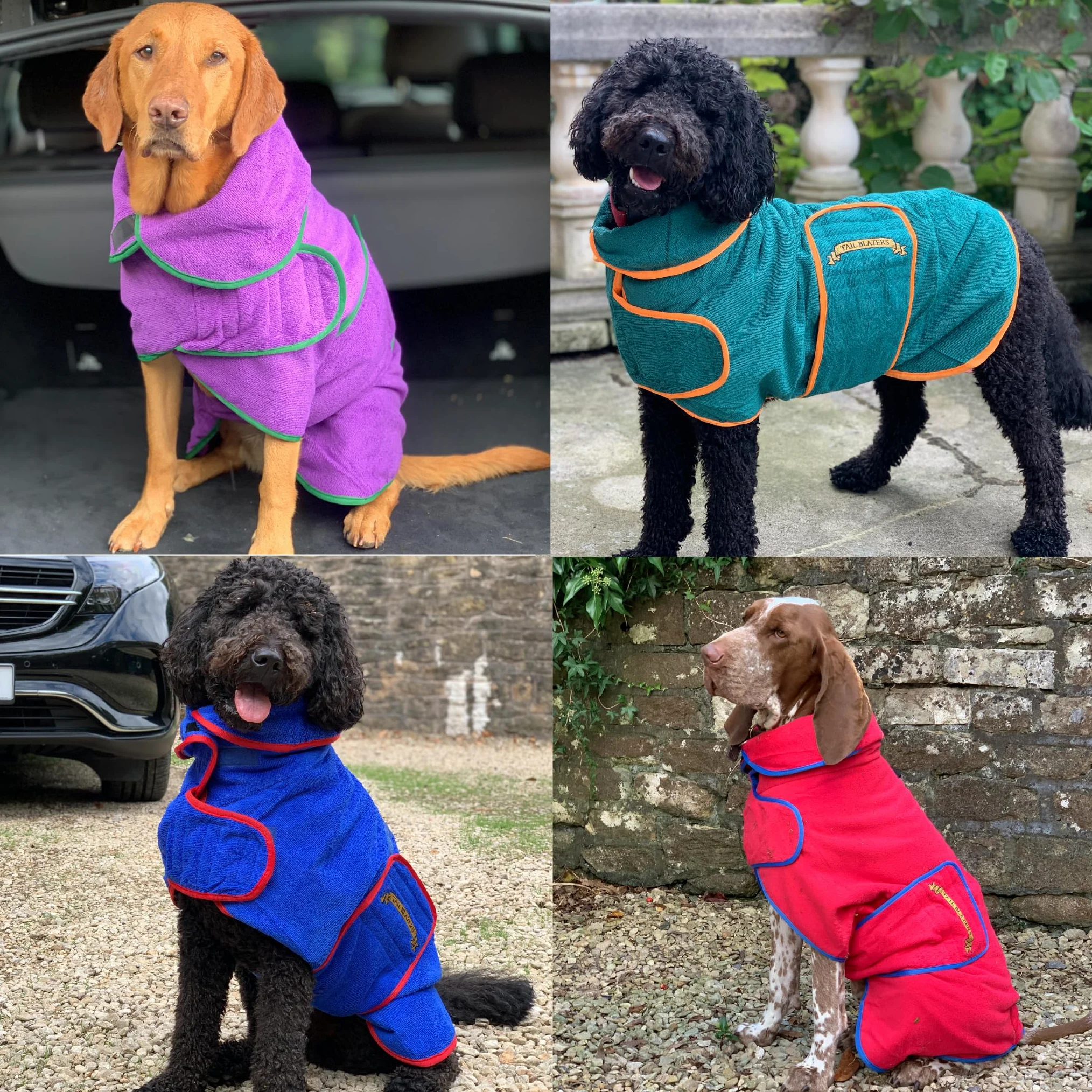 Manteau de séchage super absorbant pour chien, serviette double couche en microfibre, peignoir épais et doux pour chien, robe de chambre réglable pour le bain, la promenade et les voyages