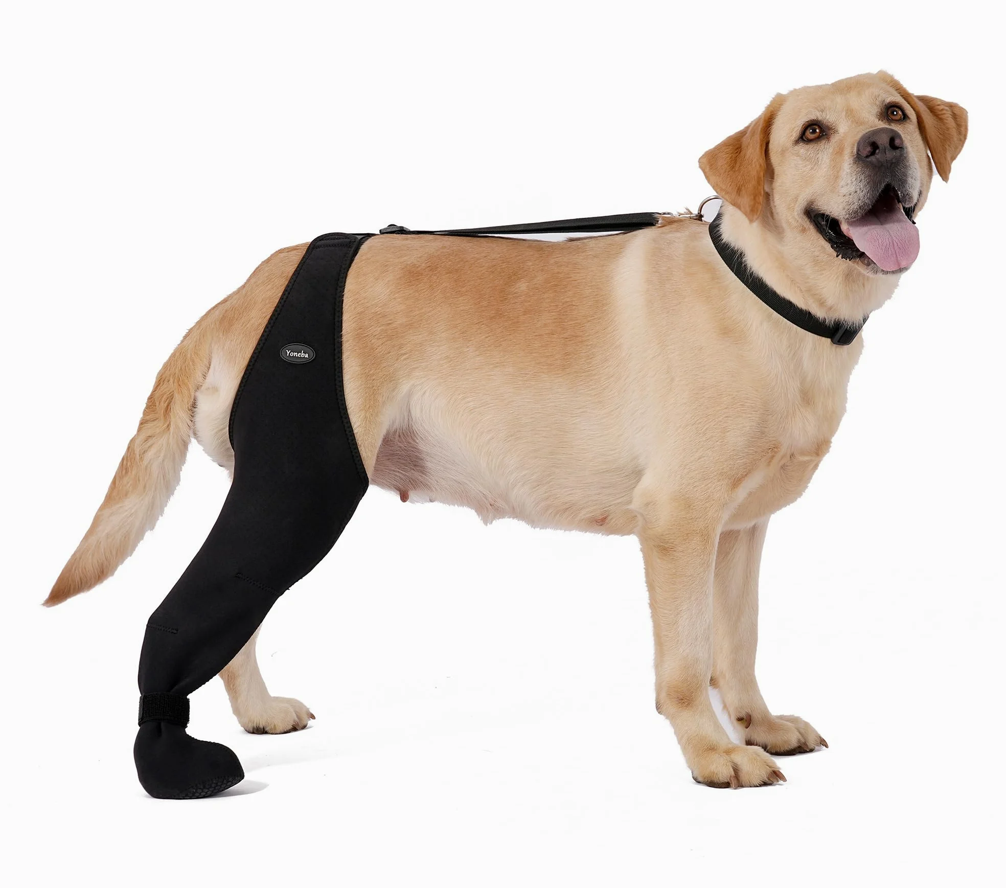 Chaussettes pour chien pour éviter de lécher les pattes - Manchon respirant pour éviter de lécher et de mordre - Chaussettes fermes et sécurisées - Taille réglable - Taille XL - Gauche
