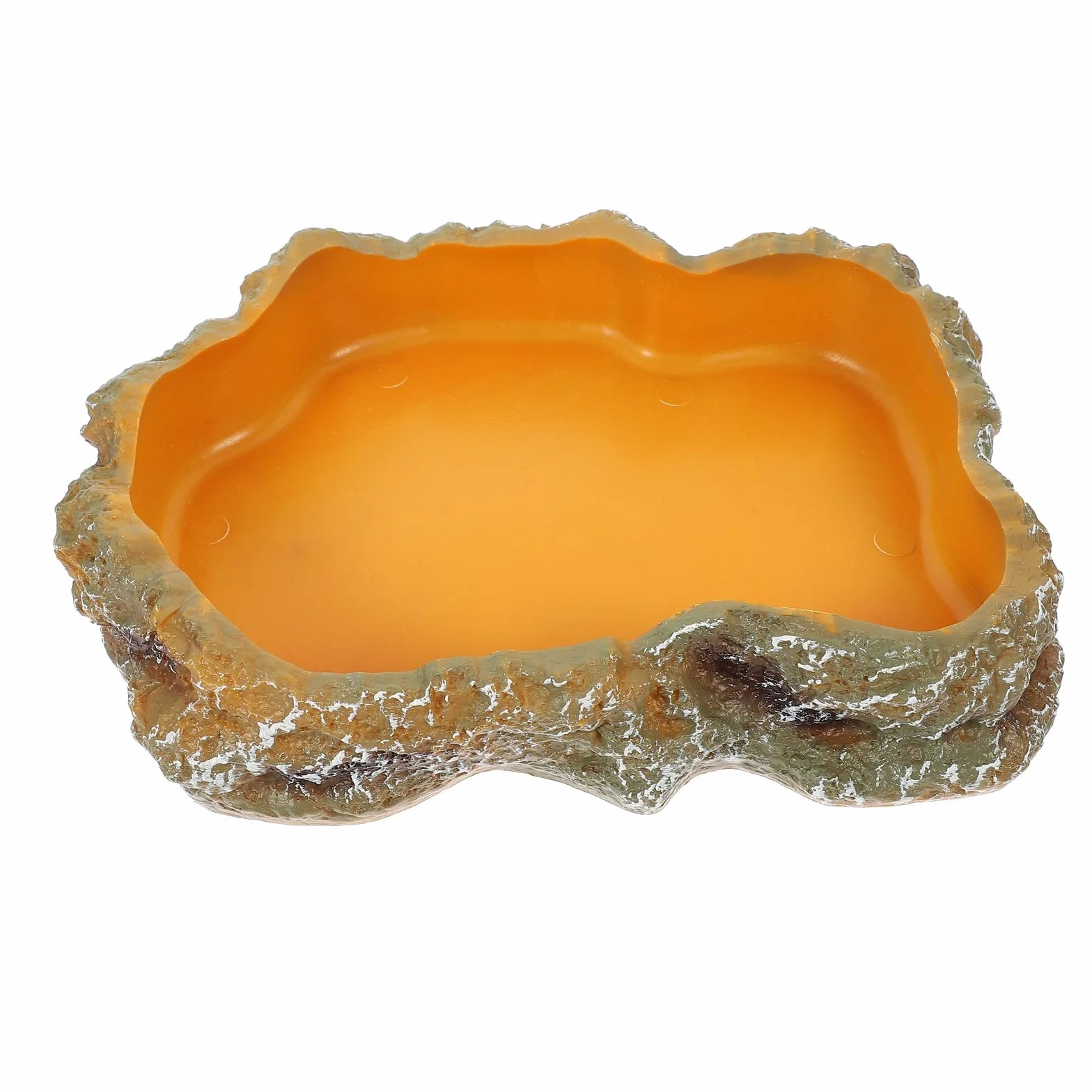 Bol Eau Reptiles Taille M Gamelle Nourriture pour Lézards et Tortues Accessoires Terrarium