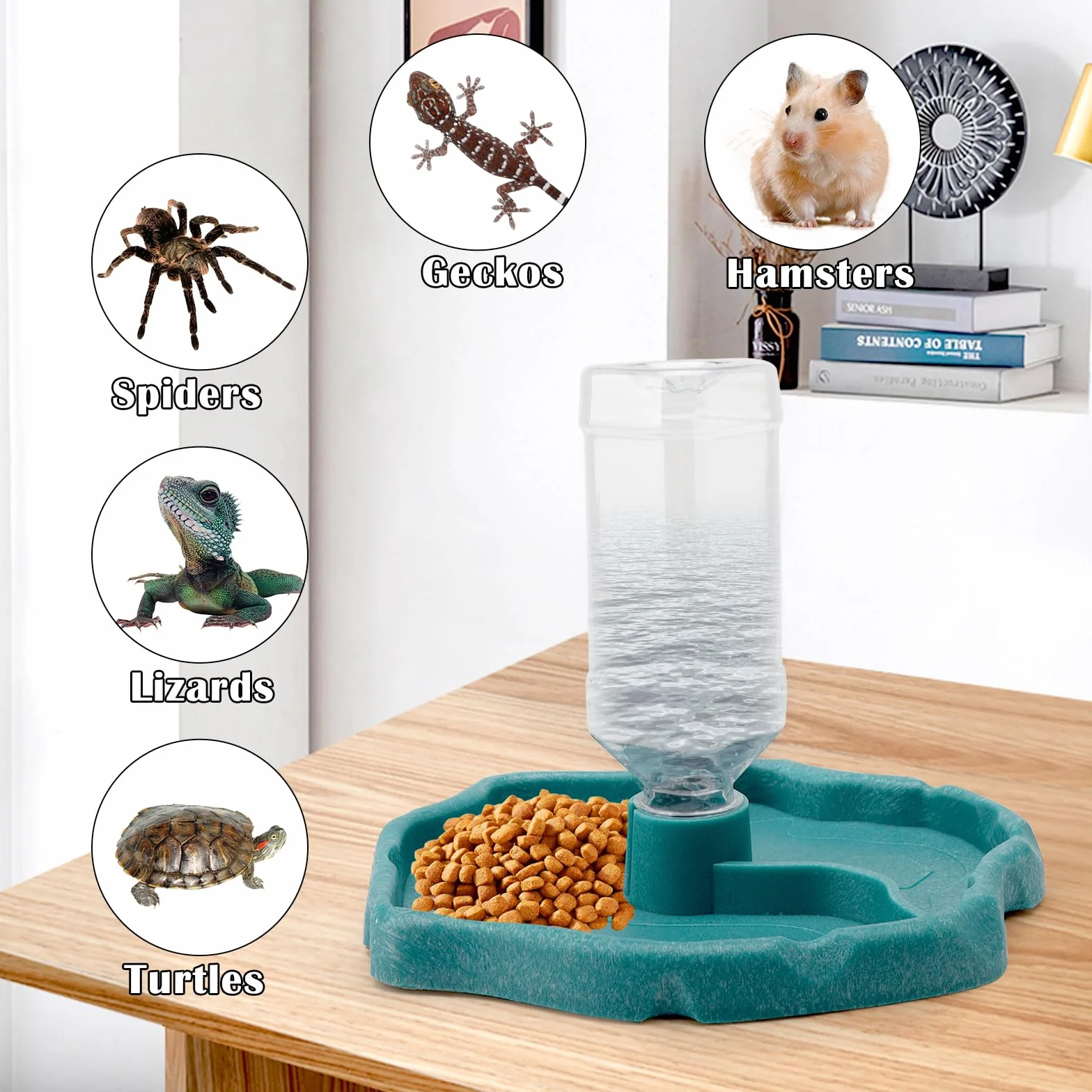 Gamelle 2 en 1 pour Reptiles et Tortues, Distributeur Automatique pour Nourriture et Eau en Plastique Transparent