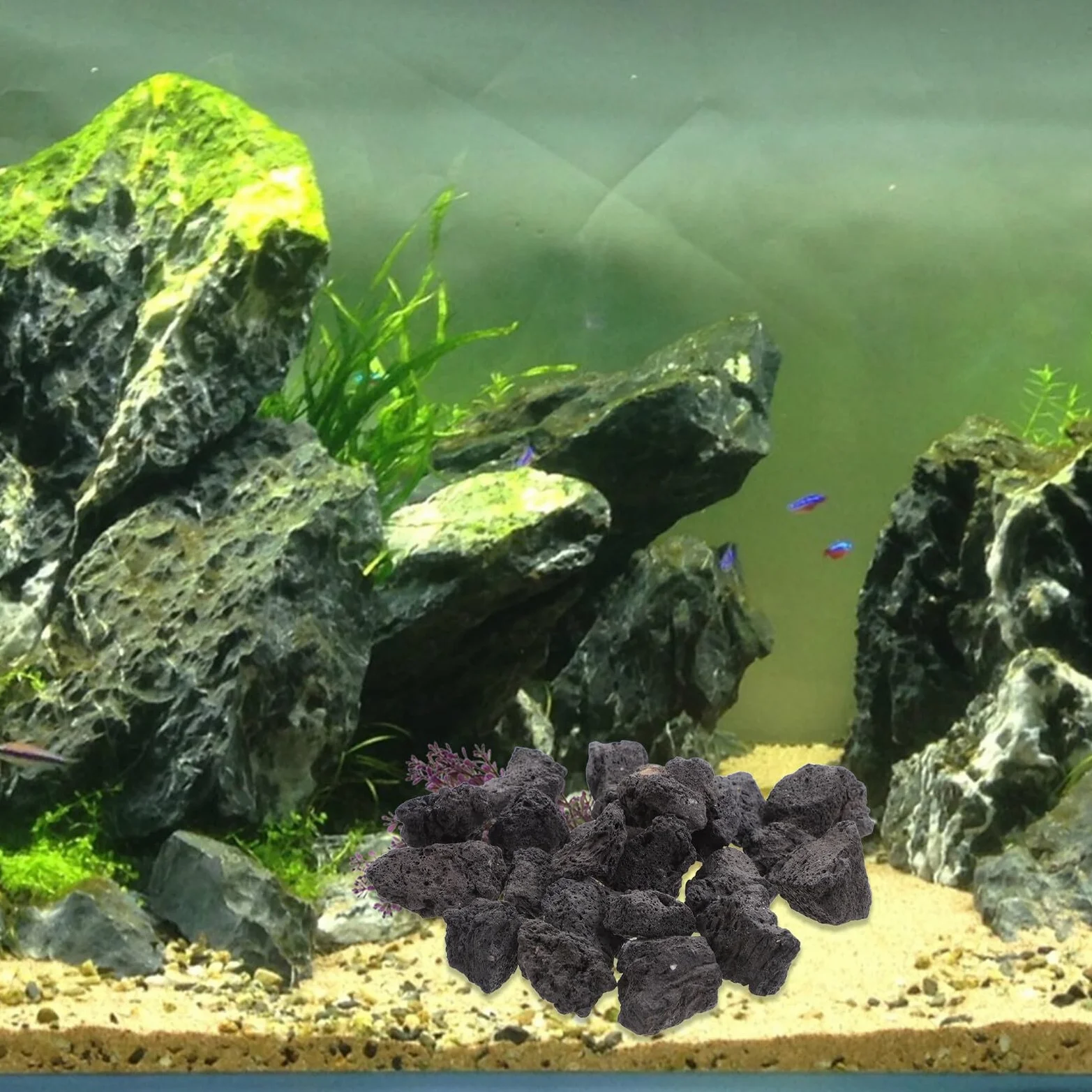 Hemobllo Roche Volcanique Naturelle Noire Poreuse 200g 2-4cm pour Décoration Aquarium, Plantes en Pot et Aménagement Paysager, Pierre Volcanique Respirante pour Terrarium et Jardin
