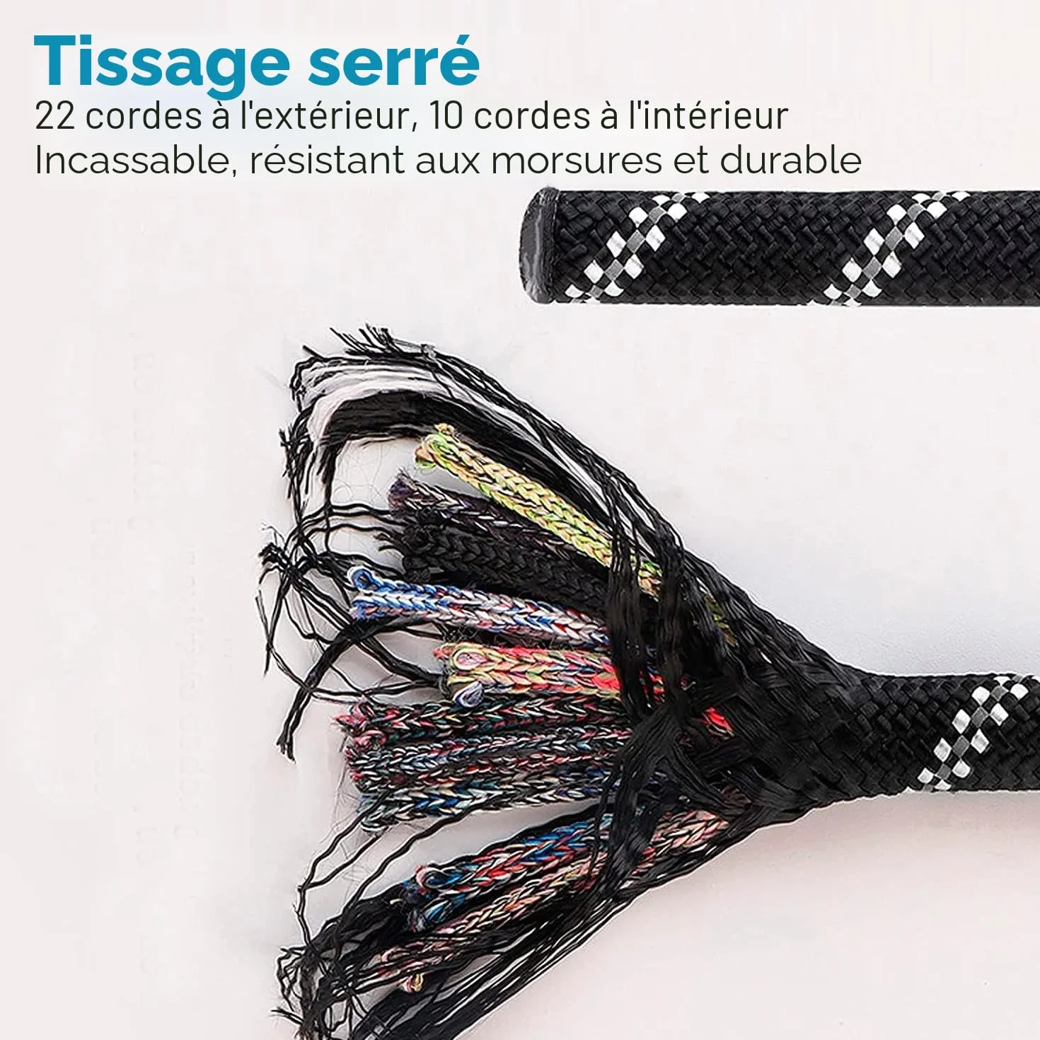 Laisse Chien Rembourrée Poignée Souple 1.5 M Noir EDIPETS