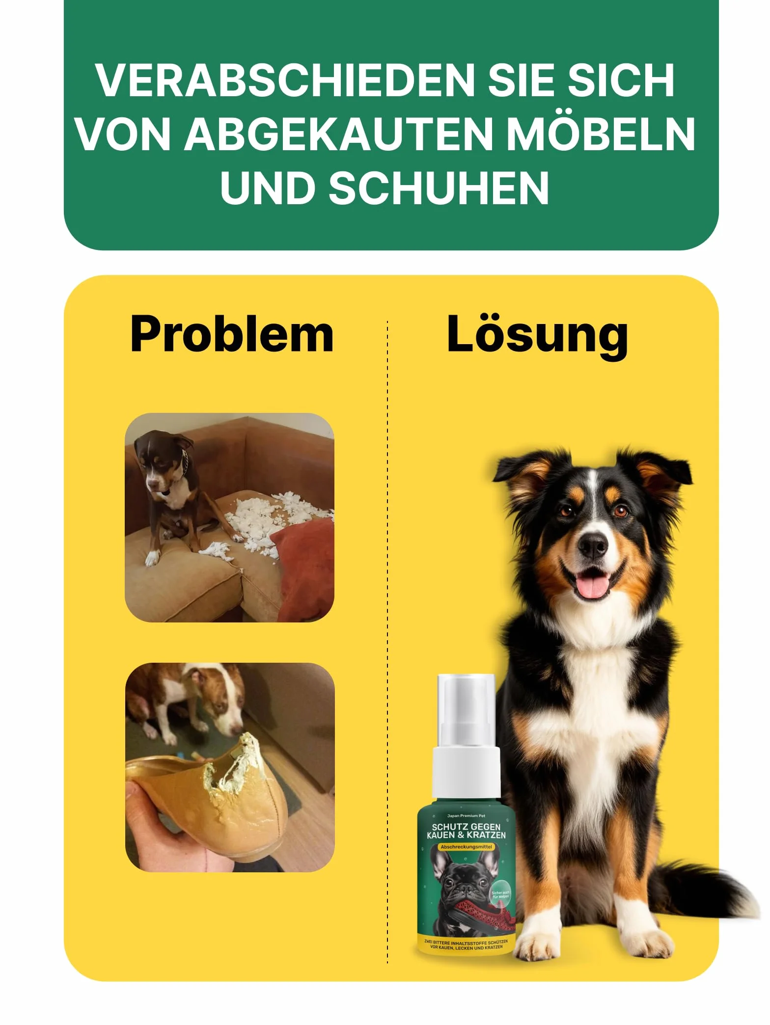 Spray Correcteur de Comportement pour Chien | Spray Répulsif Anti-Mordillage | Spray d'Éducation Naturel Amer Sans Alcool 100 ml