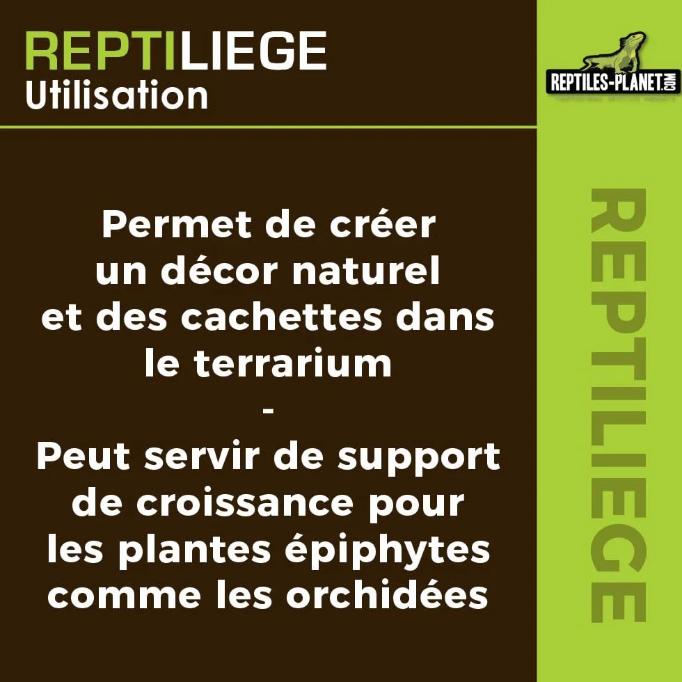 Reptiles Planet Assortiment de Liège pour Décoration de Terrarium 10 litres
