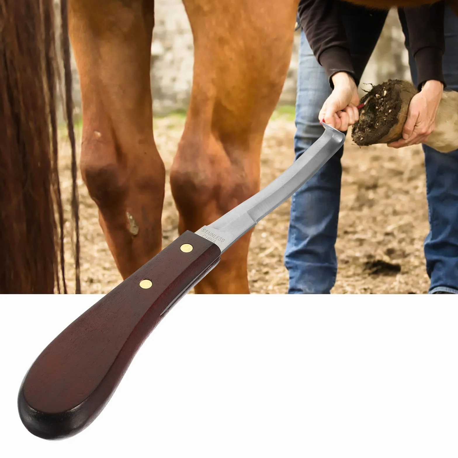 Couteau à Sabot Design Ergonomique en Acier Inoxydable Résistant à l'usure et en Bois et Parrage Précis pour Usage Quotidien