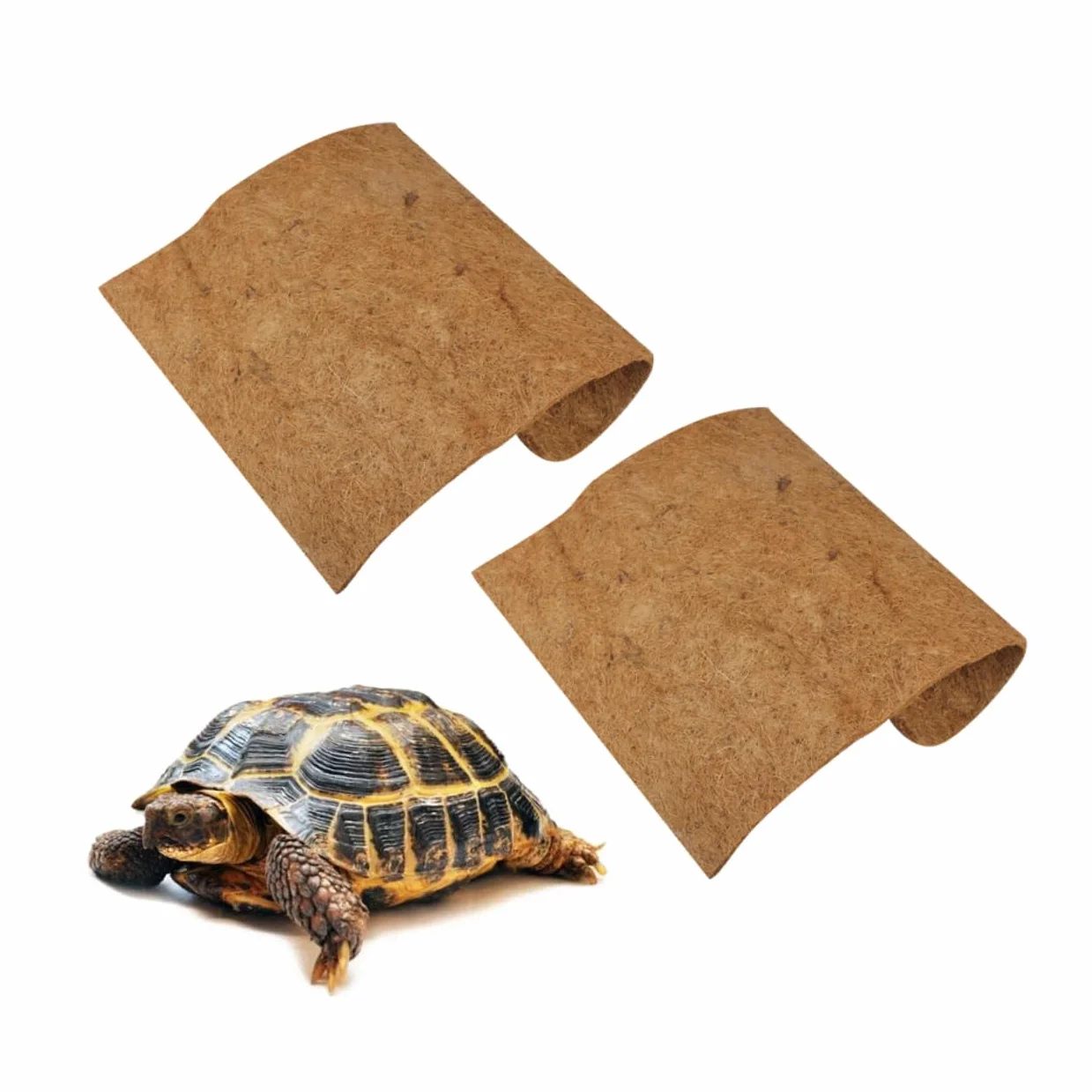 BESPORTBLE 2 Pièces Tapis Brun De Noix De Tapis De Reptile Tapis en Fibre De en Bois