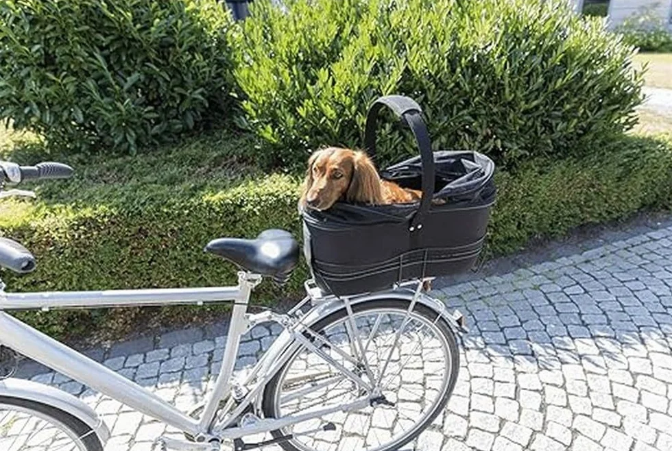 Trixie Grand Panier vélo pour Chien Fixation Porte-Bagages 8 kg 29 × 49 × 60 cm Cadre métallique