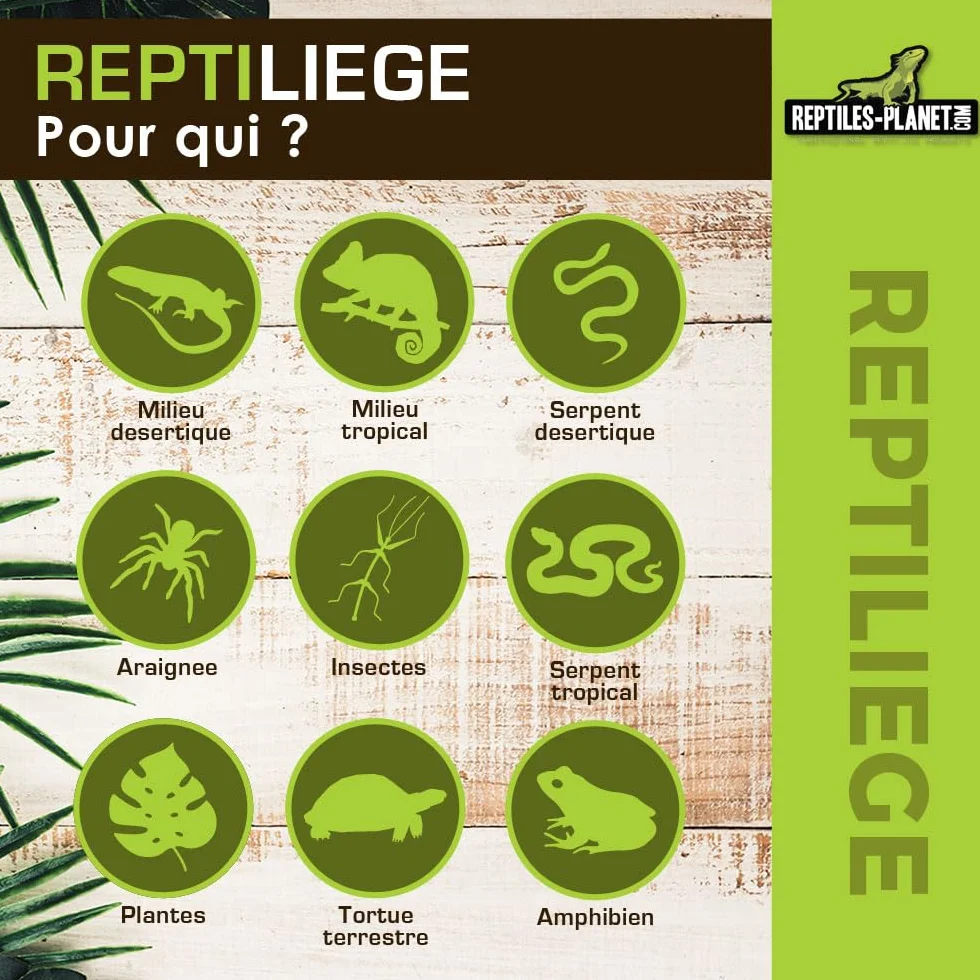 Reptiles Planet Assortiment de Liège pour Décoration de Terrarium 10 litres