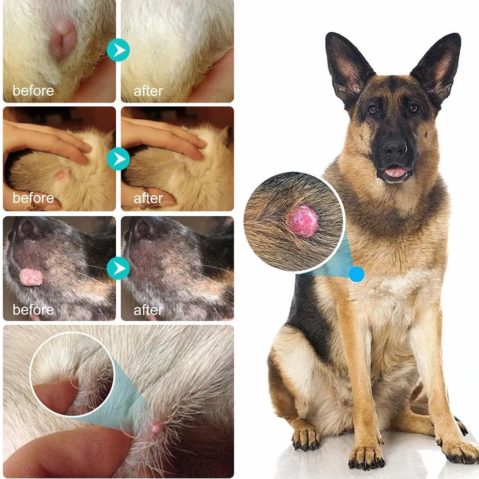 Traitement anti-verrues pour chien – Liquide à base de plantes – 20 ml