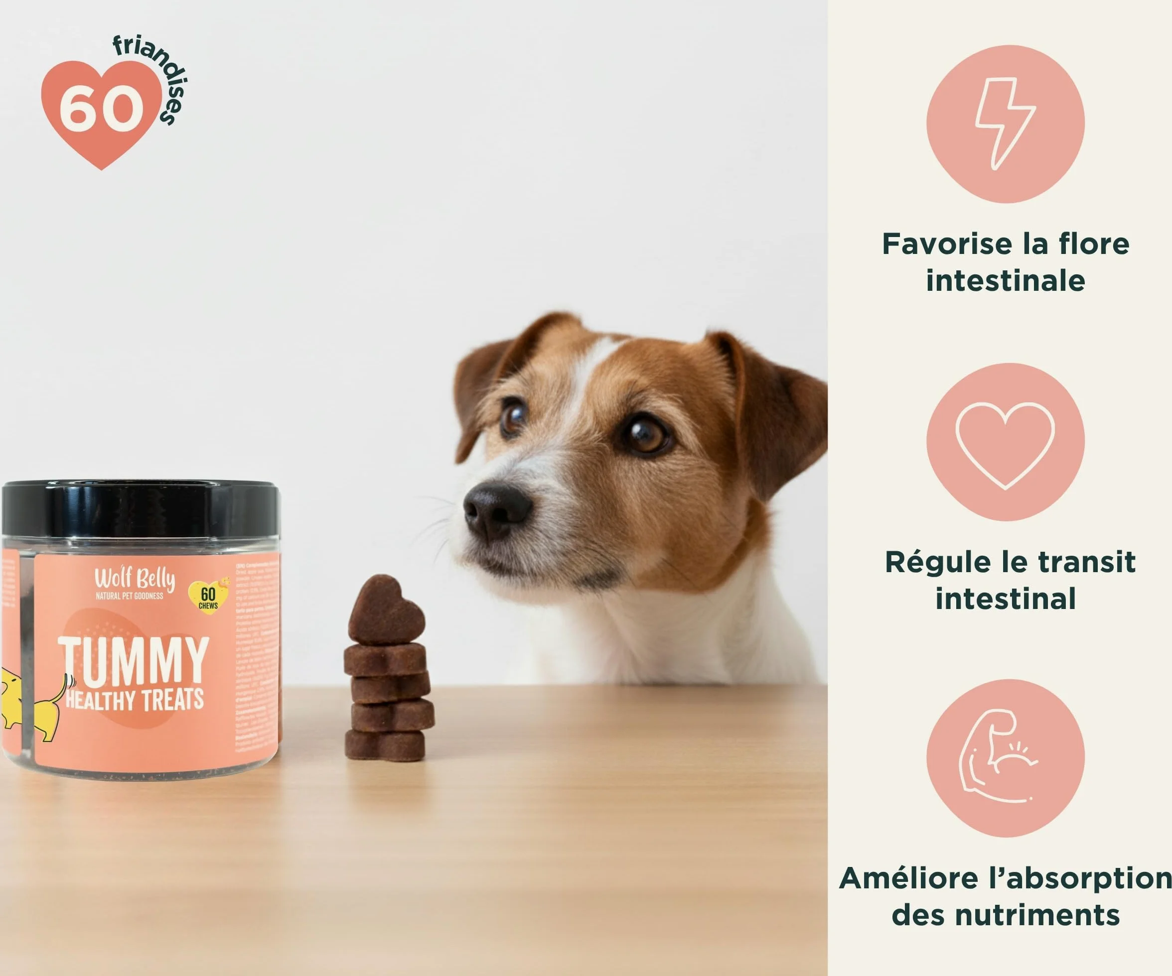 Wolf Belly - Pack Digestif pour Chiens | Complément Digestif en Poudre + Friandises aux Probiotiques | Réduit la Diarrhée | Améliore la Flore Intestinale - Fabriqué en Europe