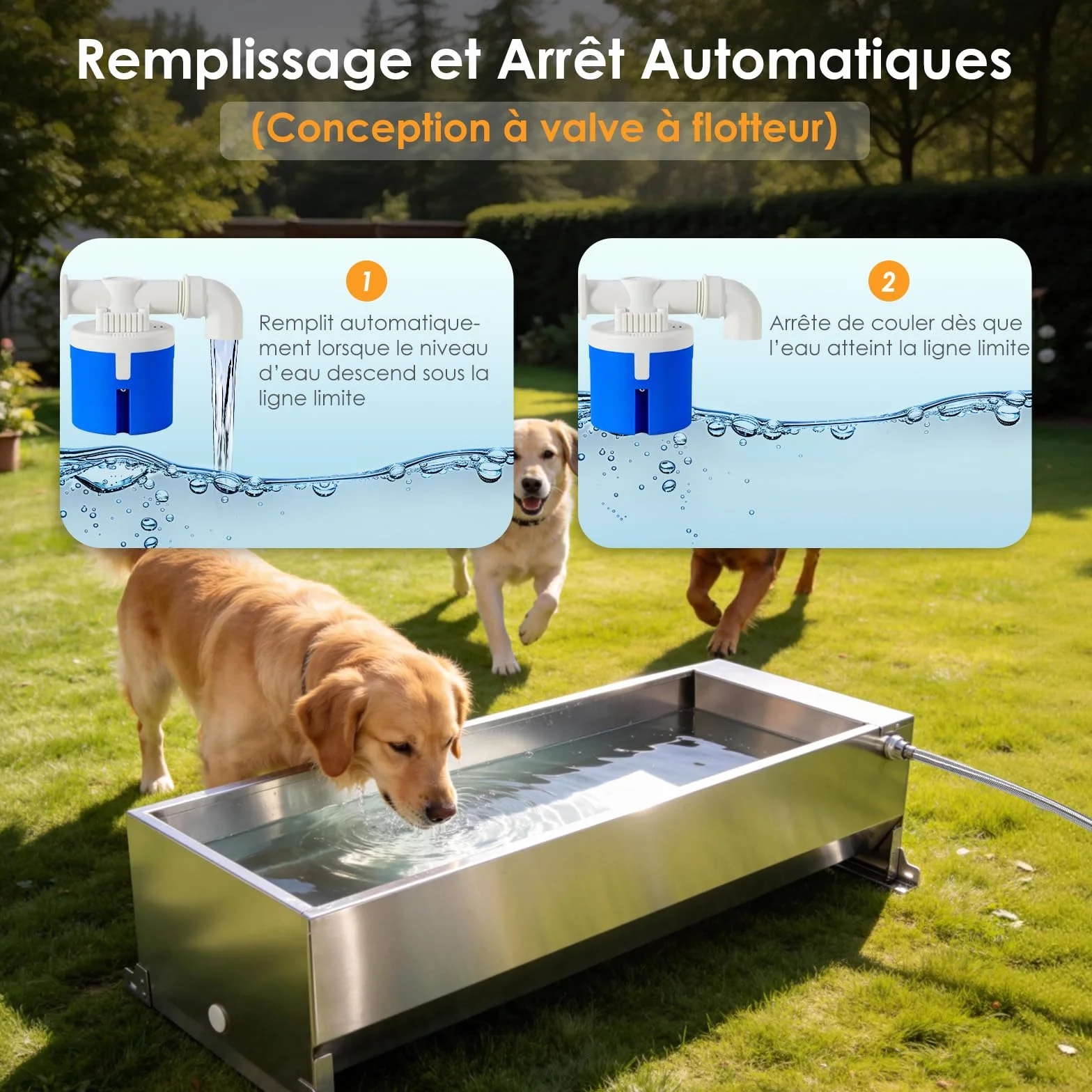 Bac à Abreuvoir Automatique 50 litres avec Flotteur 1/2 Pouce et Kit de Connexion pour Chevaux Chèvres Bœufs