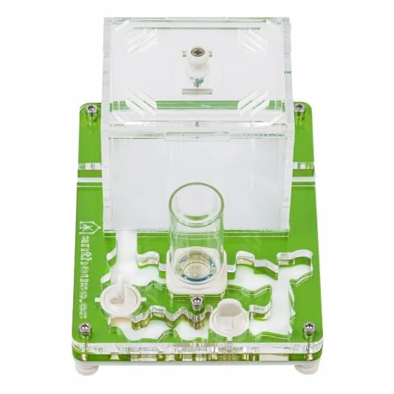 Kit éducatif de Fourmis Anthouse avec Reine - Fourmilière Acrylique 10 x 12 x 1,3 cm pour Observation et Apprentissage (Vert)