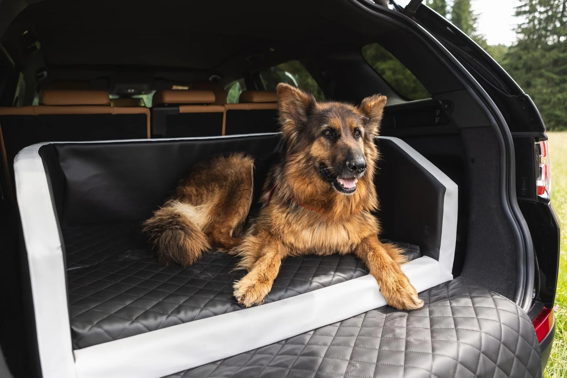 Velinda lit de Coffre, Transporteur de Voiture pour Le Chien avec Matelas de 90x55 cm (Couleur: Noir)